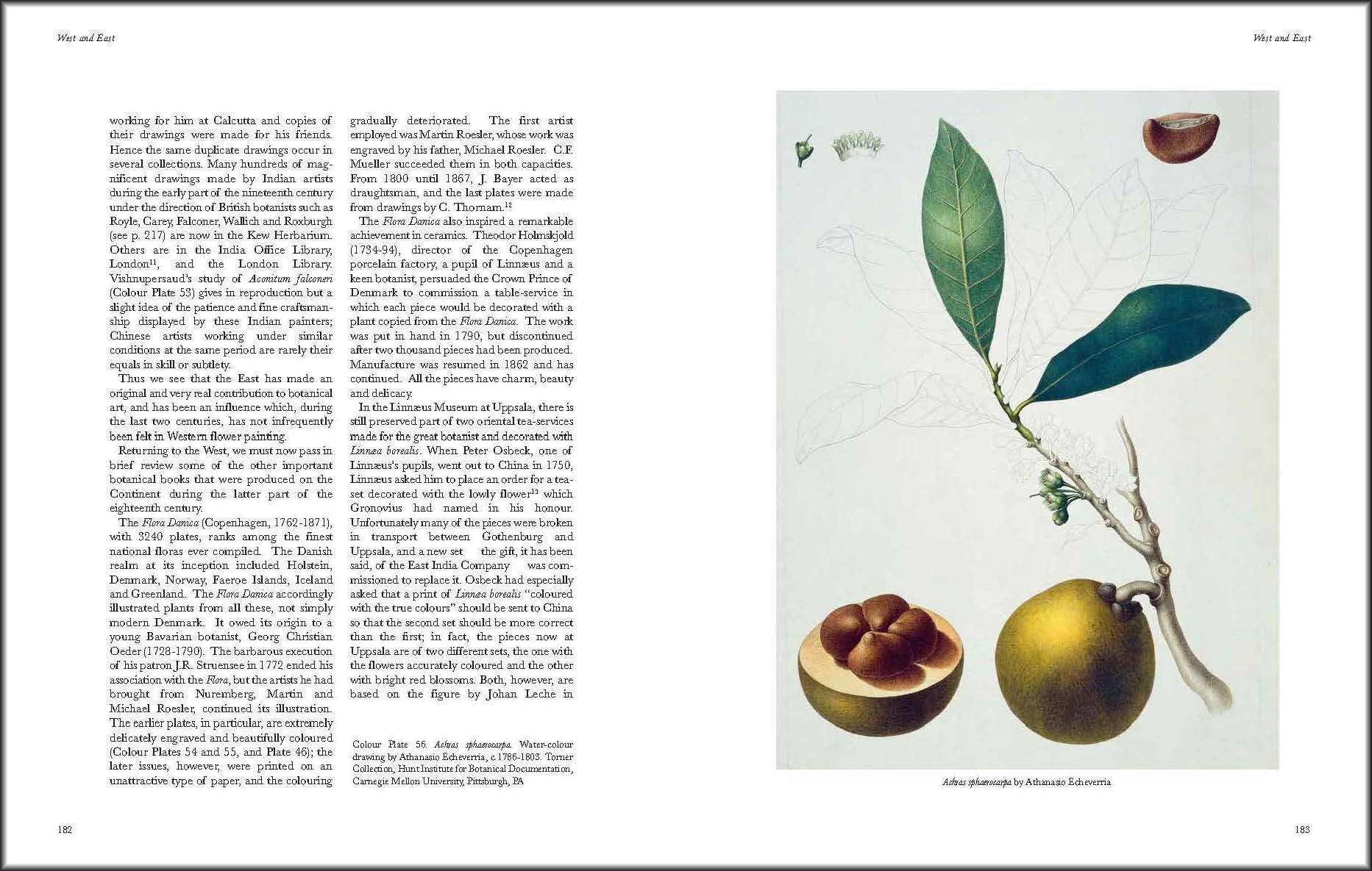 Art of Botanical Illustration,Used