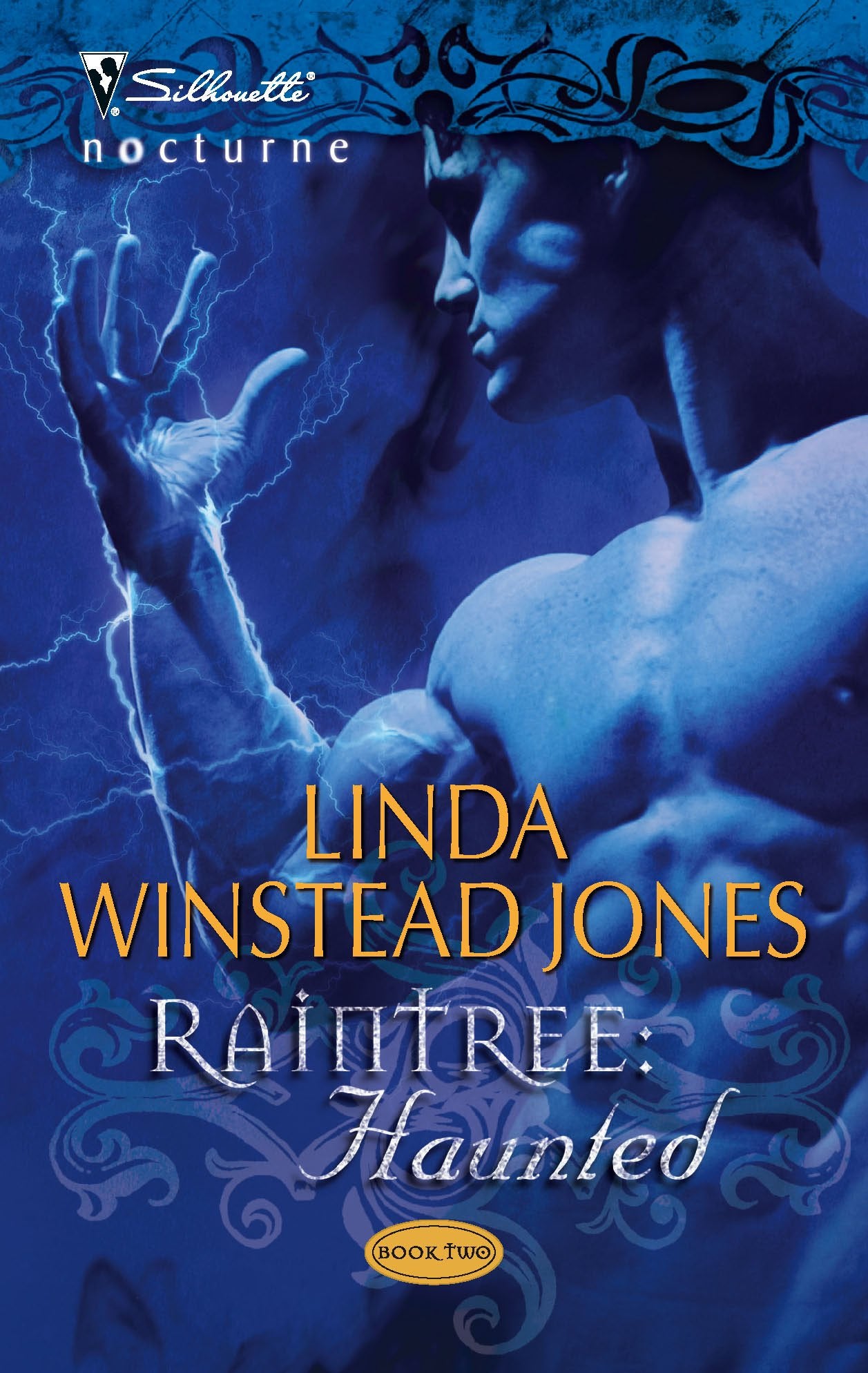 Raintree: Haunted: A Fantasy Romance Novel (Raintree, 2),Used
