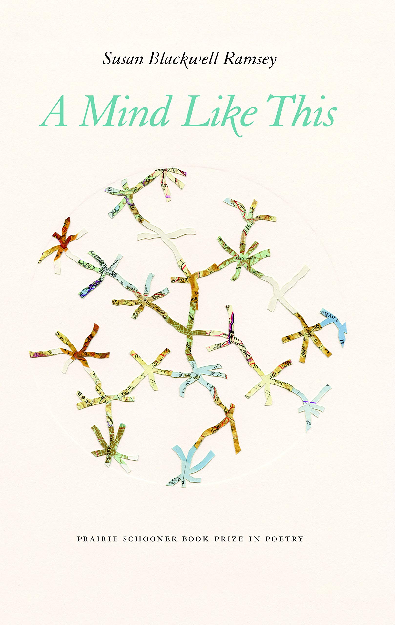 A Mind Like This (The Raz/Shumaker Prairie Schooner Book Prize in Poetry),Used