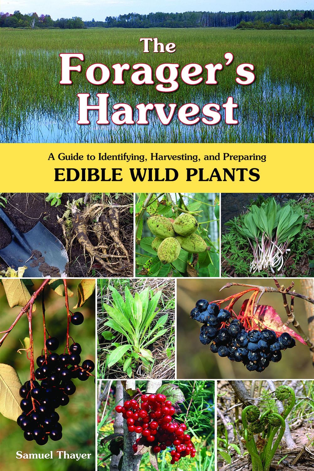 The Forager'S Harvest: A Guide To Identifying, Harvesting, And Preparing Edible Wild Plants,Used