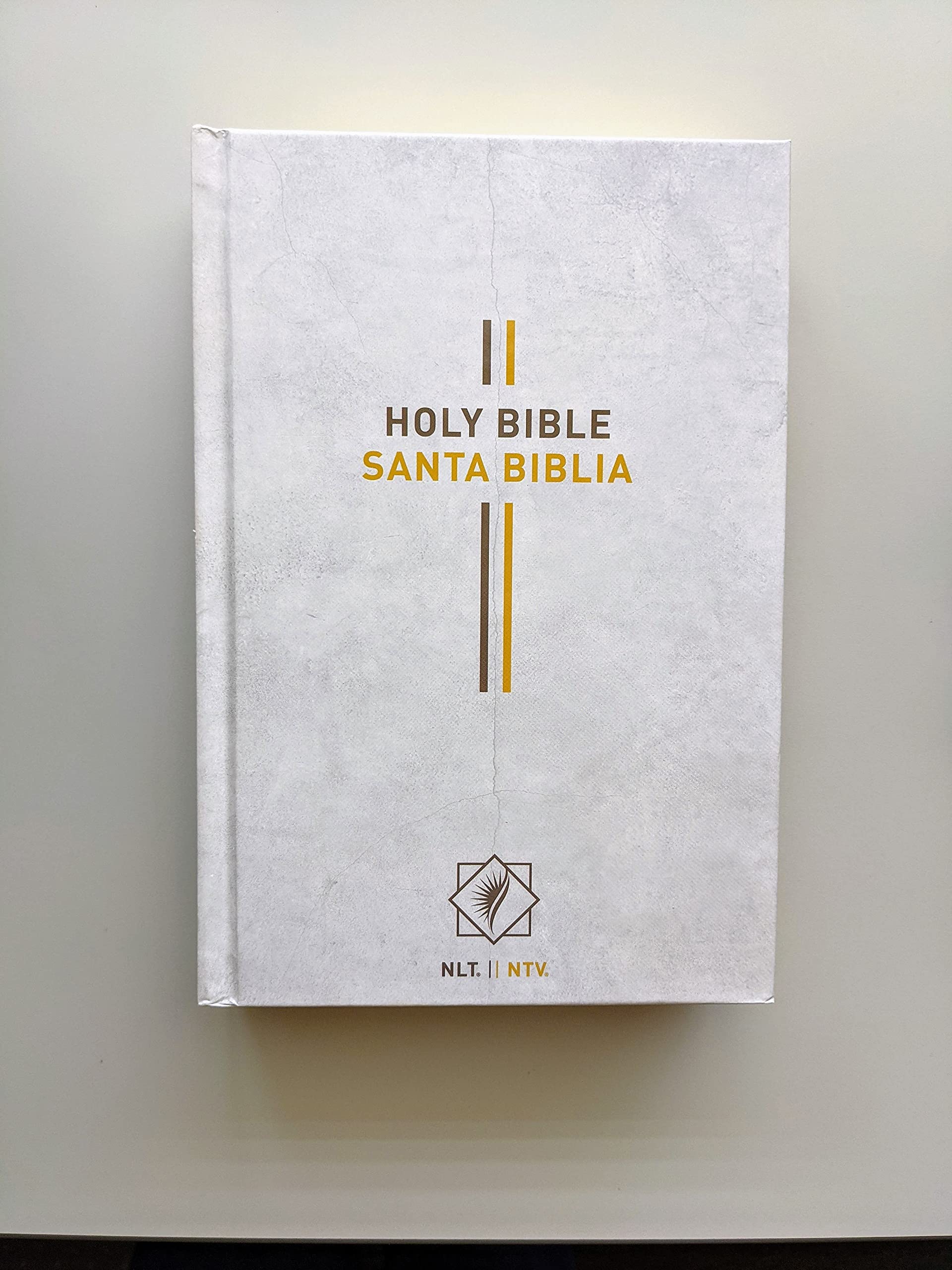 Bilingual Bible / Biblia biling?e NLT/NTV (Hardcover, Gray),Used