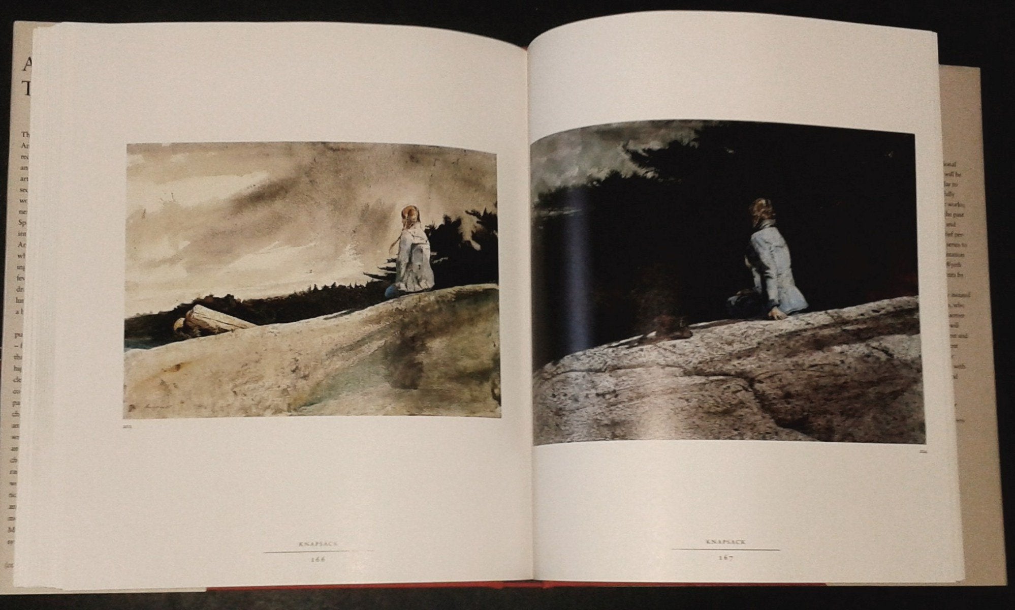 Andrew Wyeth: The Helga Pictures,Used