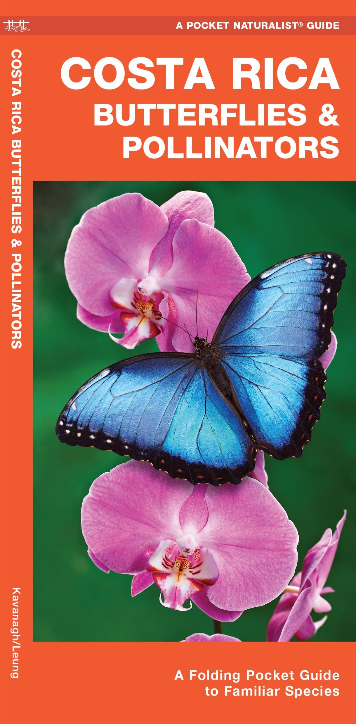 Costa Rica Butterflies & Moths: A Folding Pocket Guide to Familiar Species (A Pocket Naturalist Guide),Used