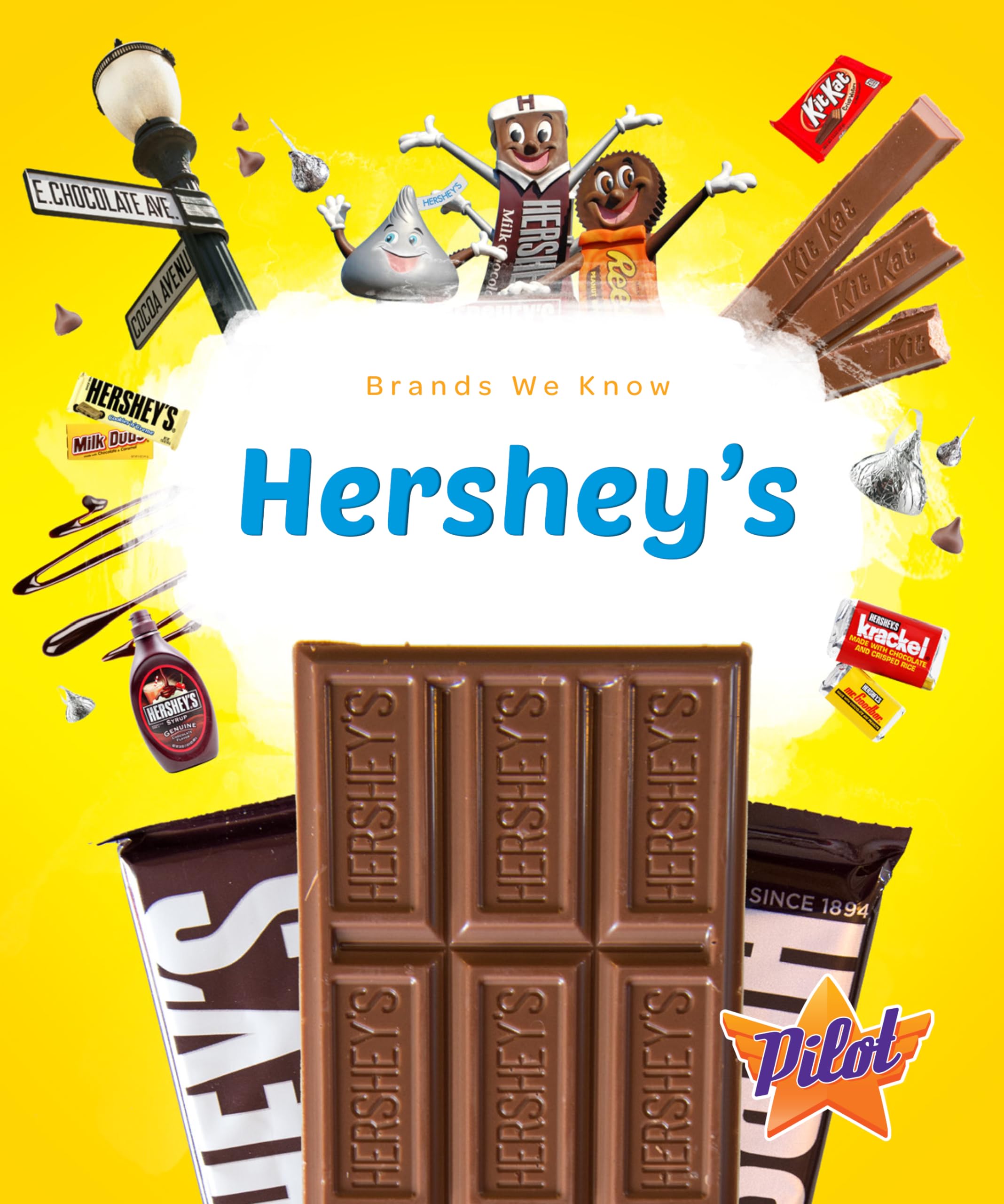 Hershey's (Brands We Know),Used
