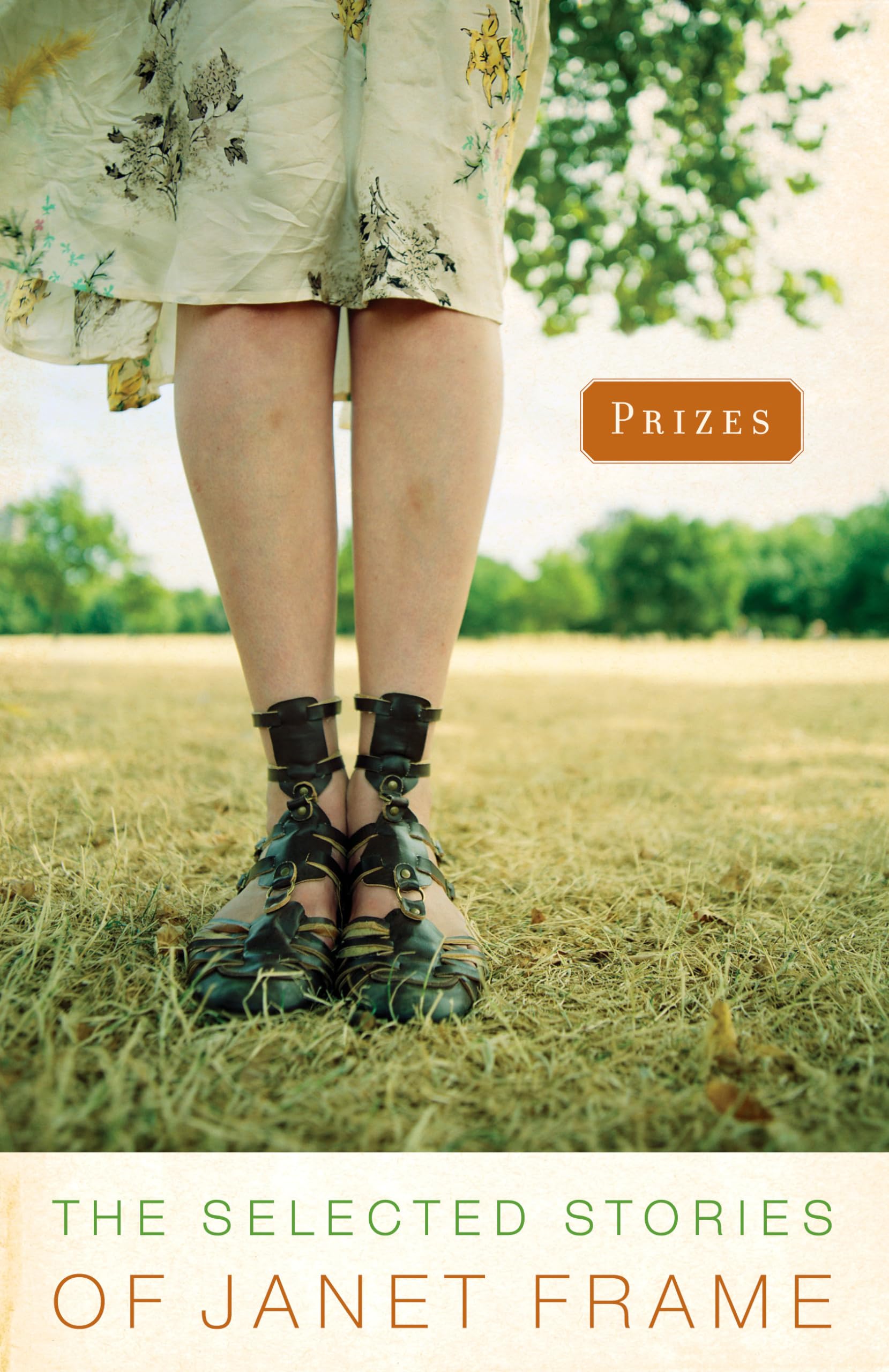 Prizes: The Selected Stories of Janet Frame,New