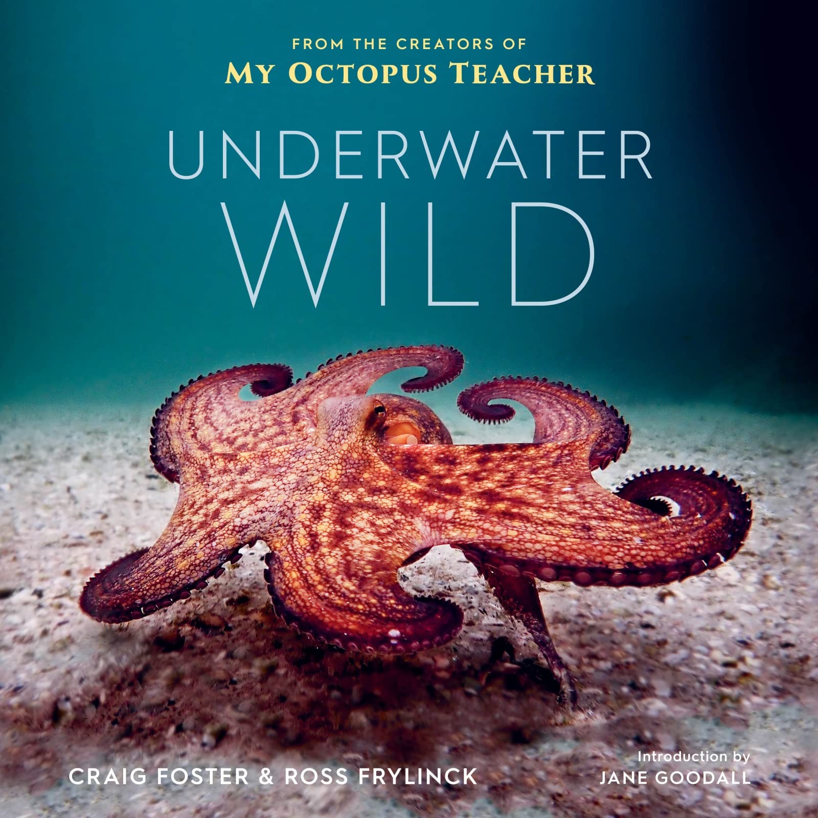 Underwater Wild: My Octopus Teacher'S Extraordinary World