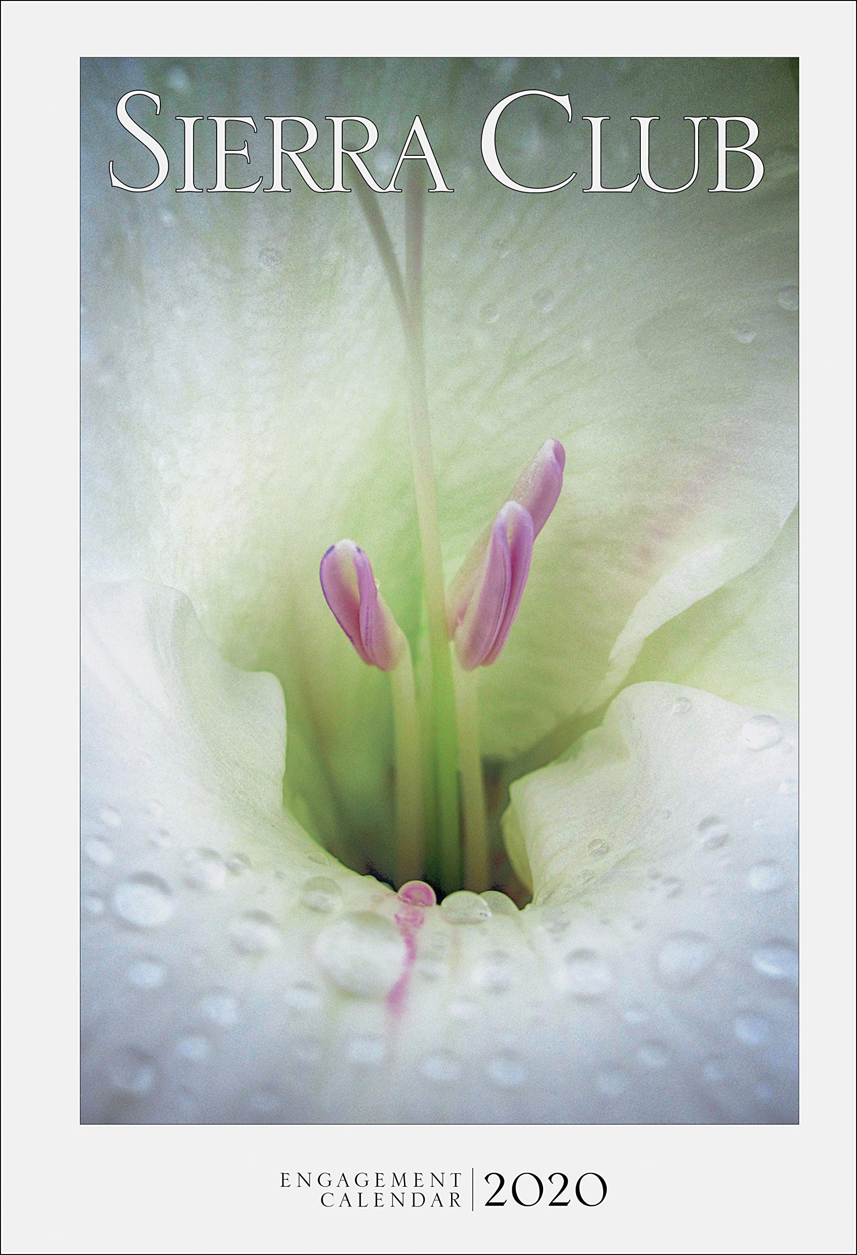 Sierra Club Engagement Calendar 2020,Used