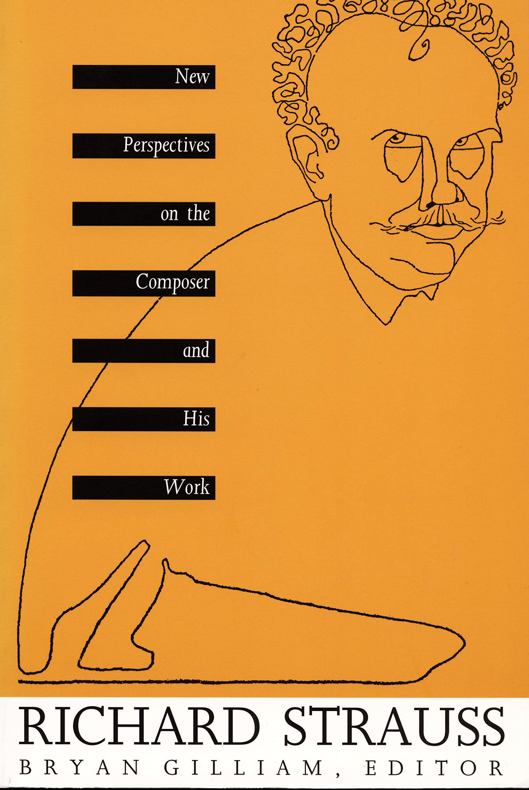 Richard Strauss: New Perspectives On The Composer And His Work (Sources Of Music & Their Interpretation S),New