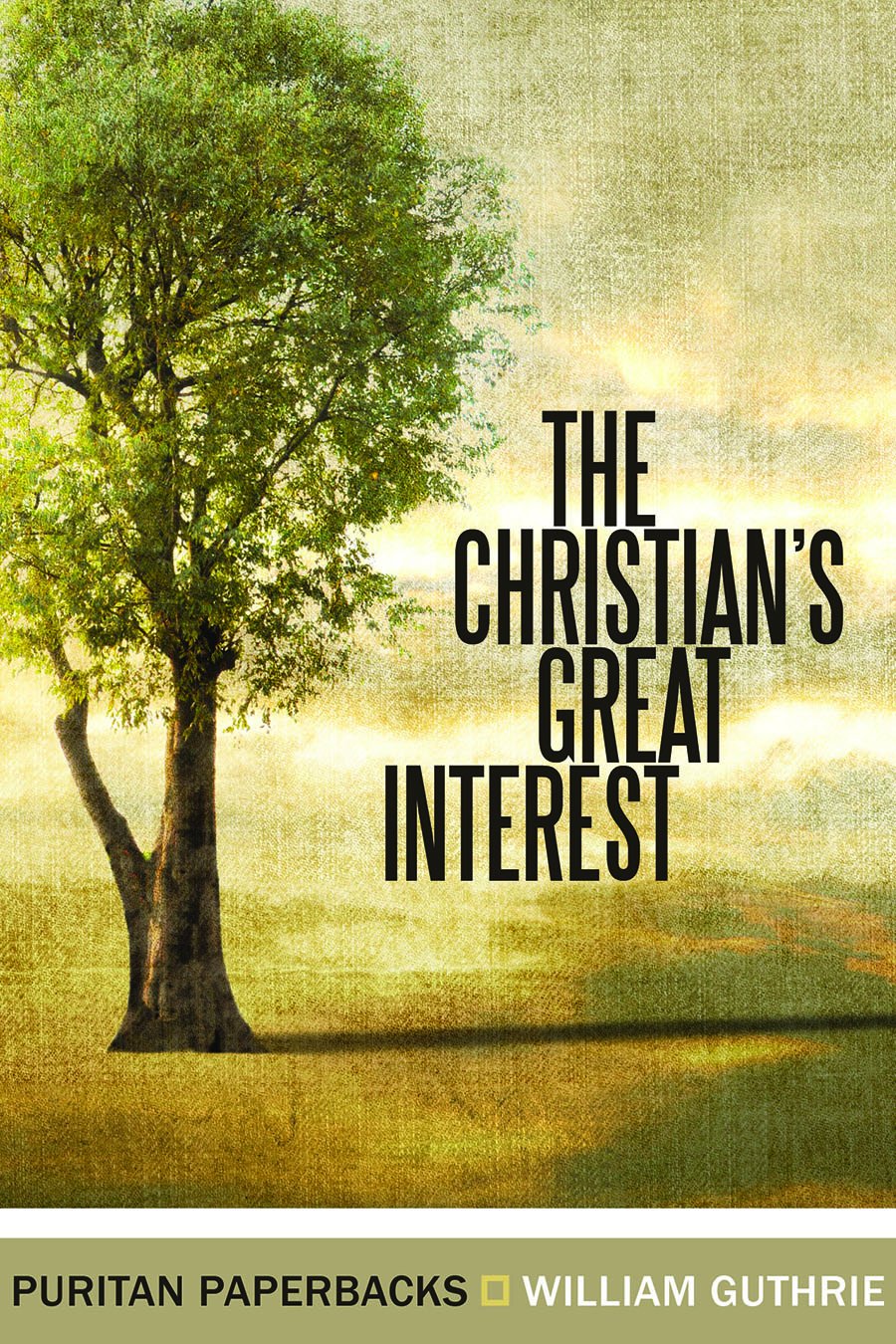 Christian's Great Interest (Puritan Paperbacks),Used