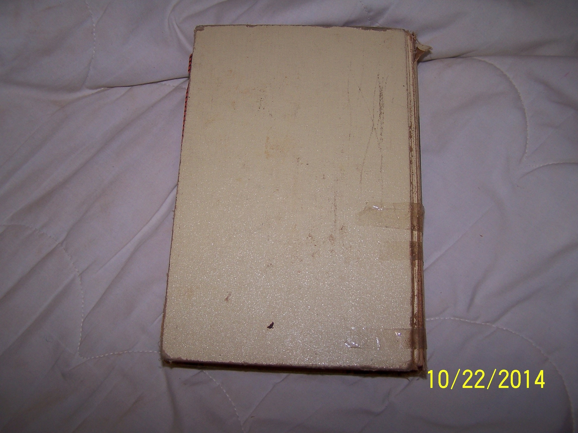 Mennonite Community Cookbook: Favorite Family Recipes,New
