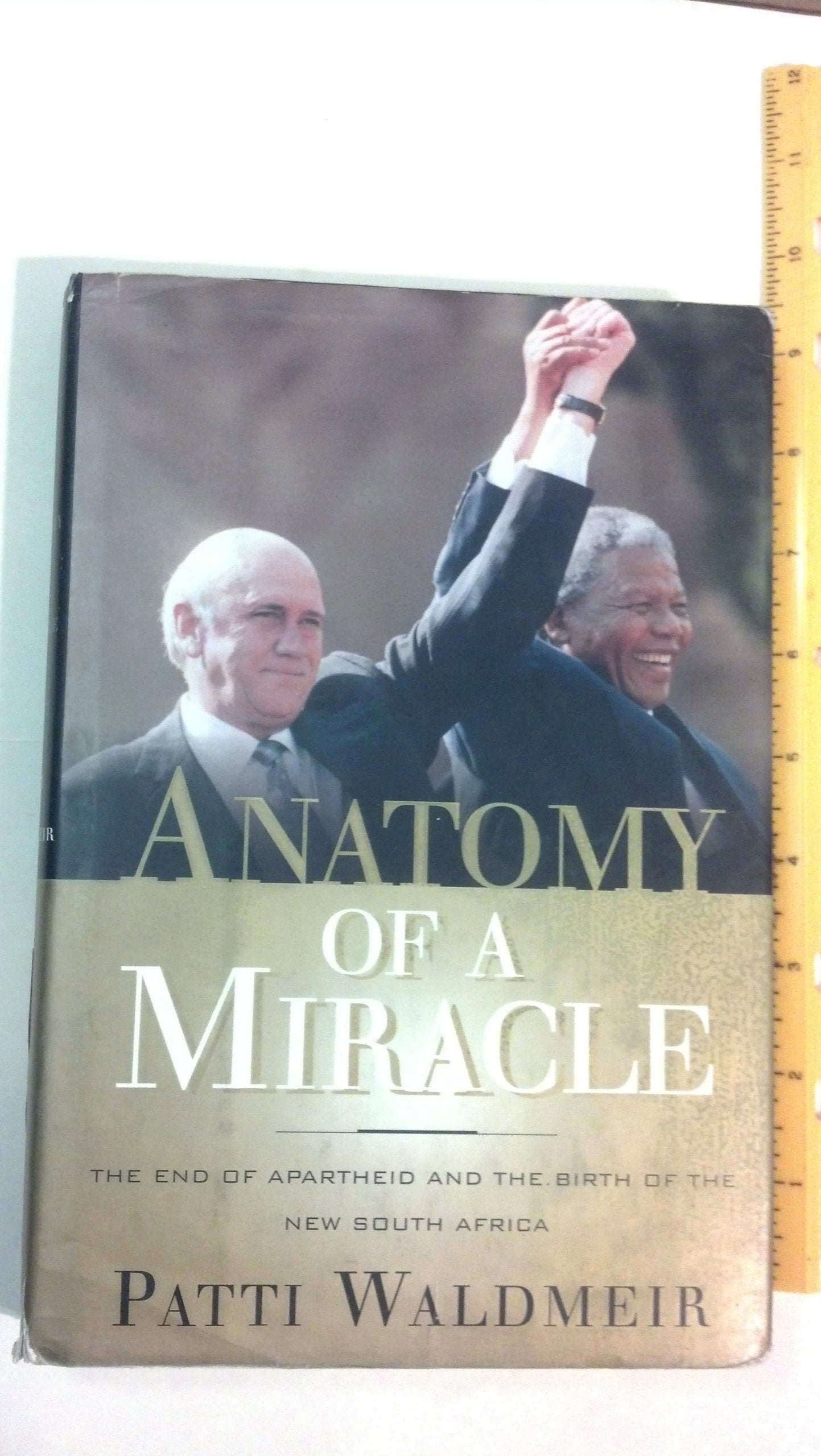 Anatomy of a Miracle: The End of Apartheid and the Birth of the New South Africa,New