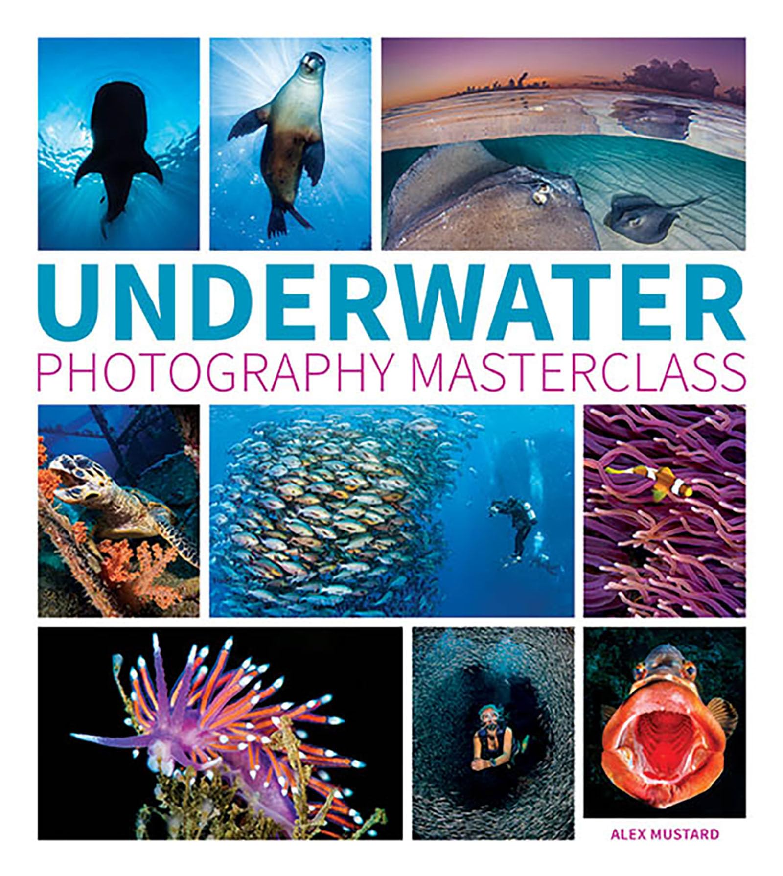 Underwater Photography Masterclass,New
