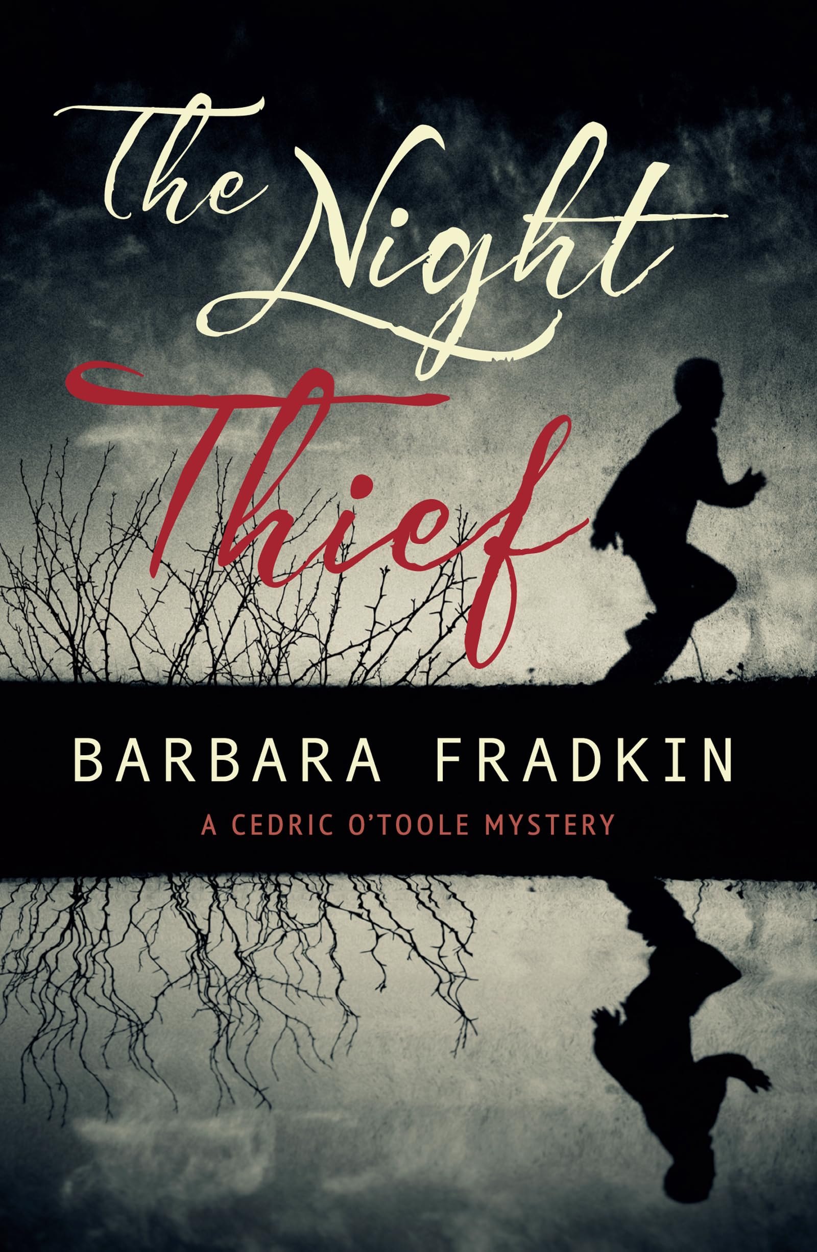 The Night Thief (Cedric O'Toole Mystery, 3),Used