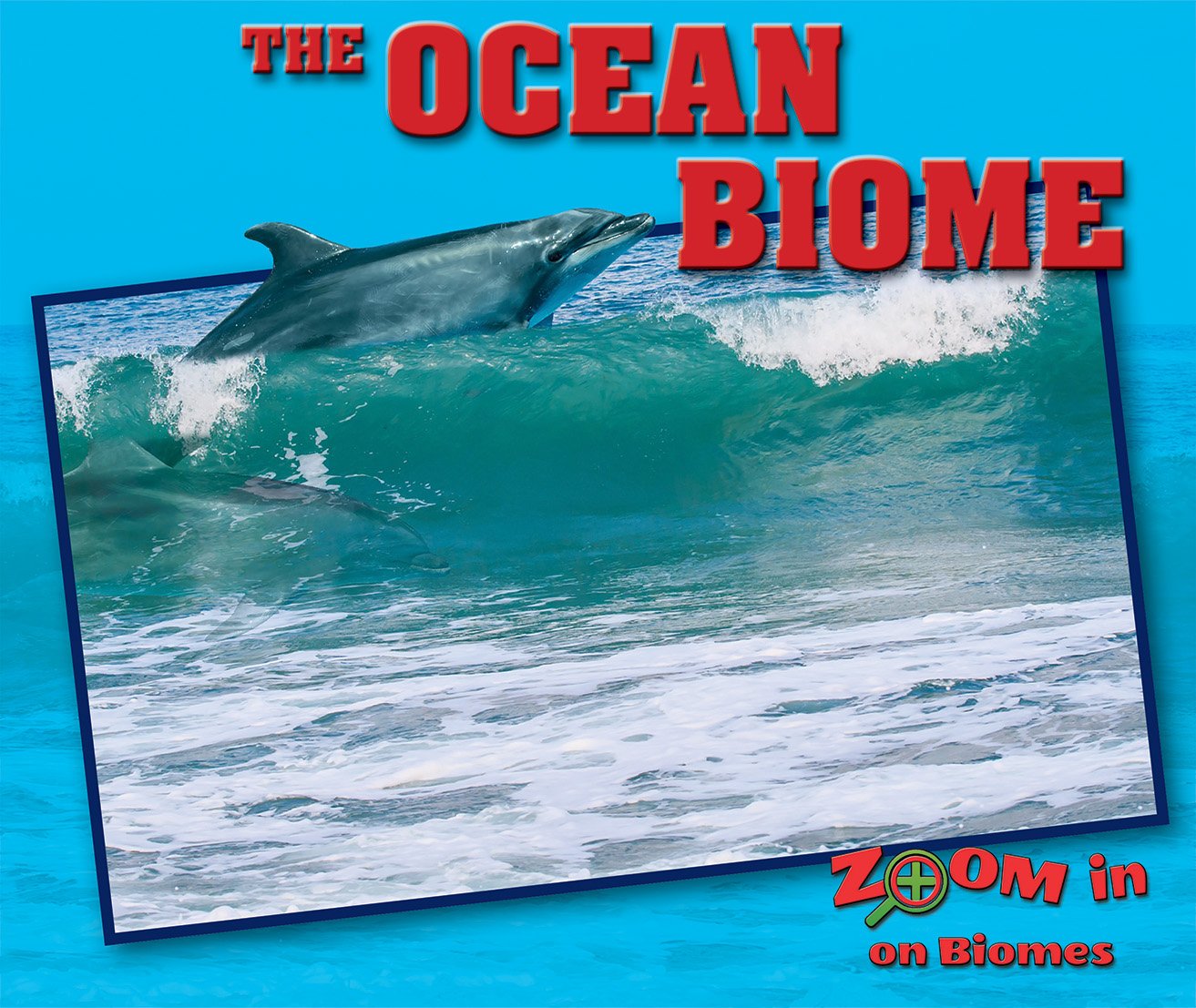 The Ocean Biome (Zoom in on Biomes),Used
