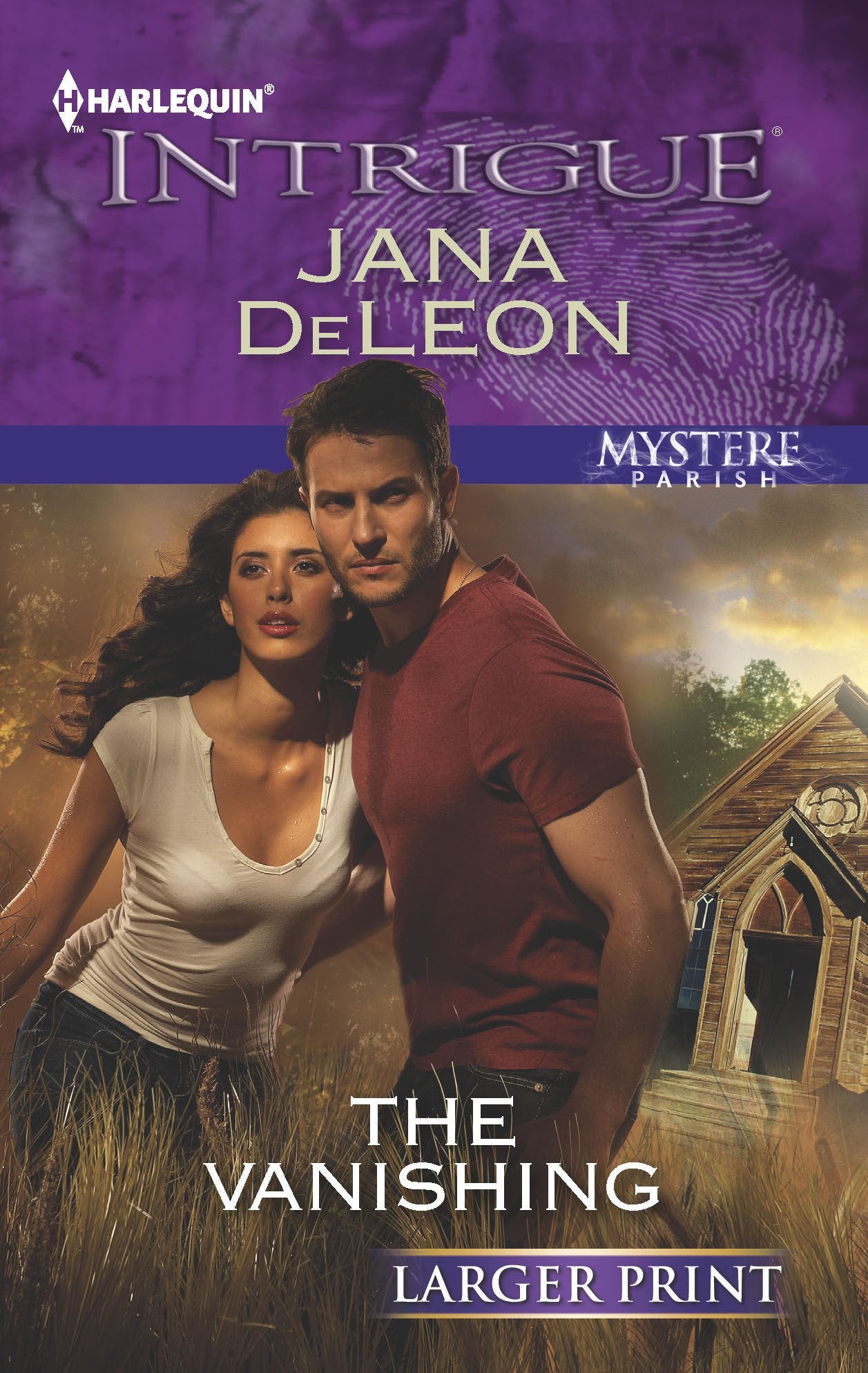 The Vanishing: A Mystery Novel,Used