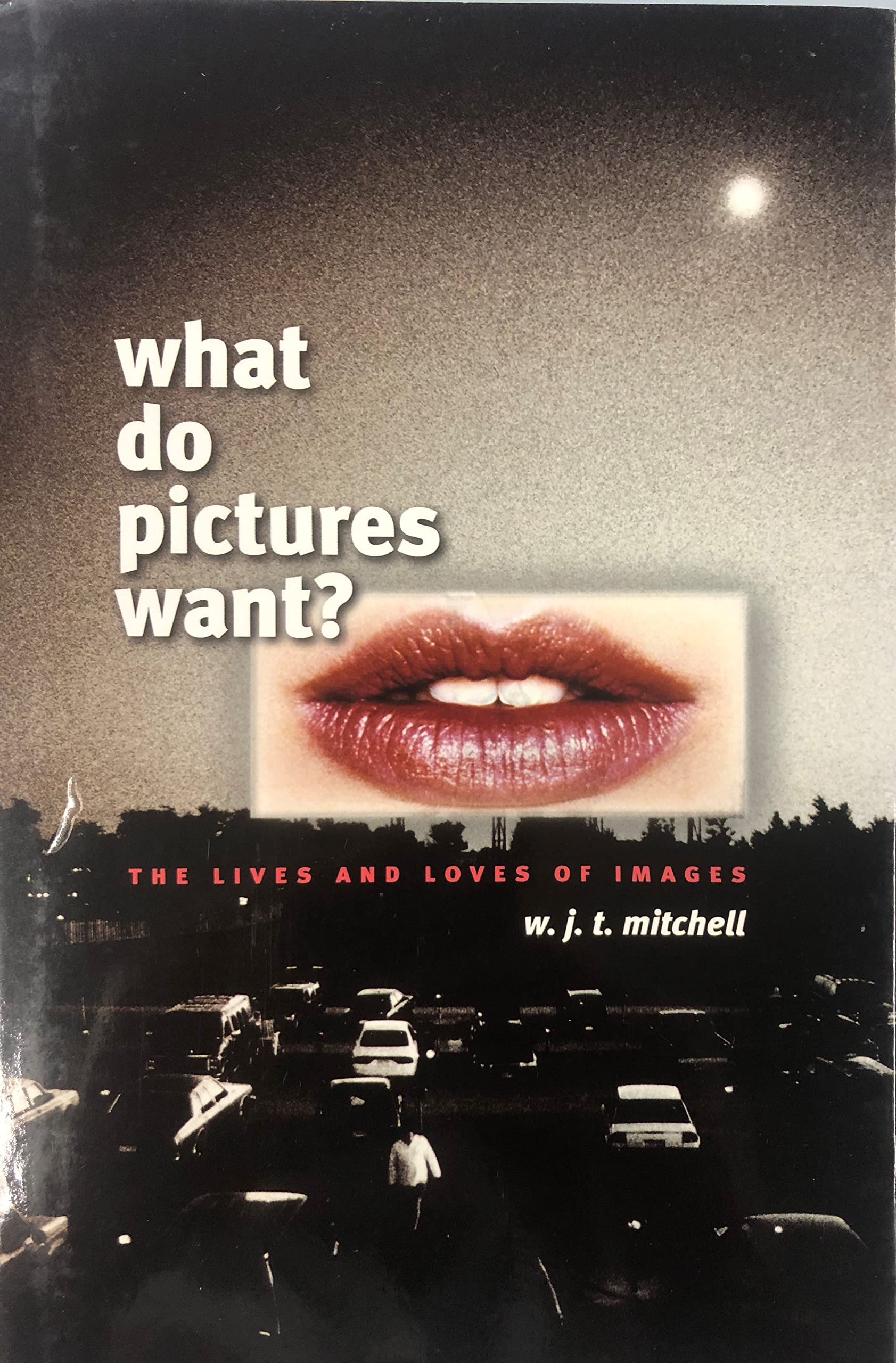 What Do Pictures Want?: The Lives And Loves Of Images,New