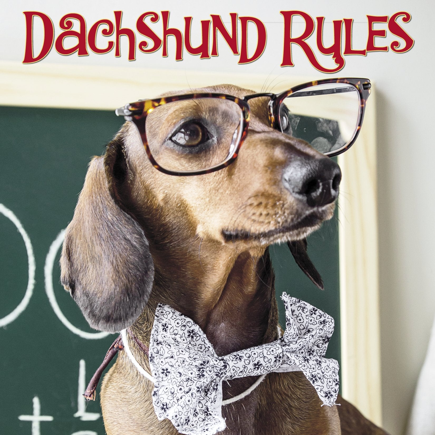 Dachshund Rules,Used