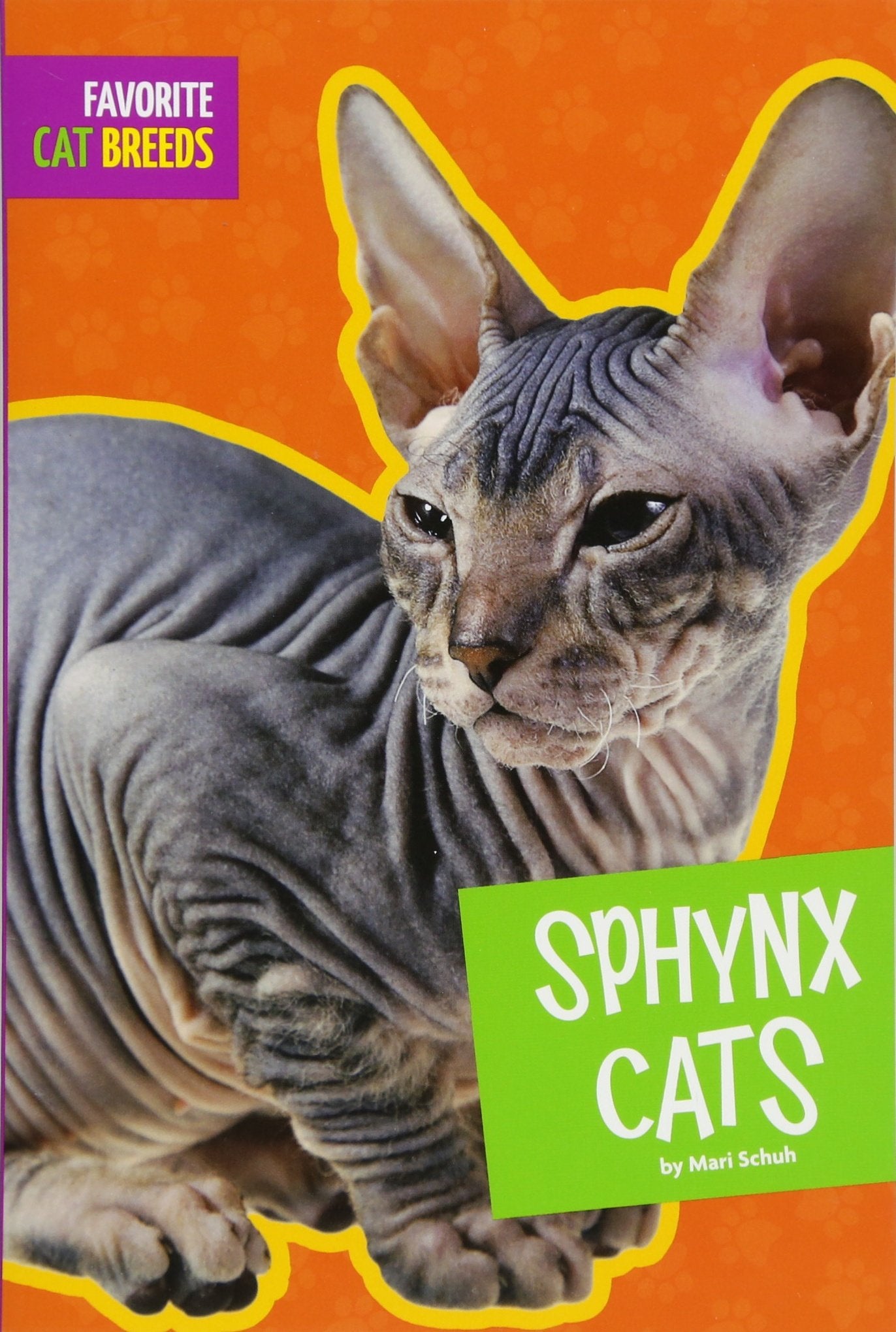 Sphynx Cats (Favorite Cat Breeds)