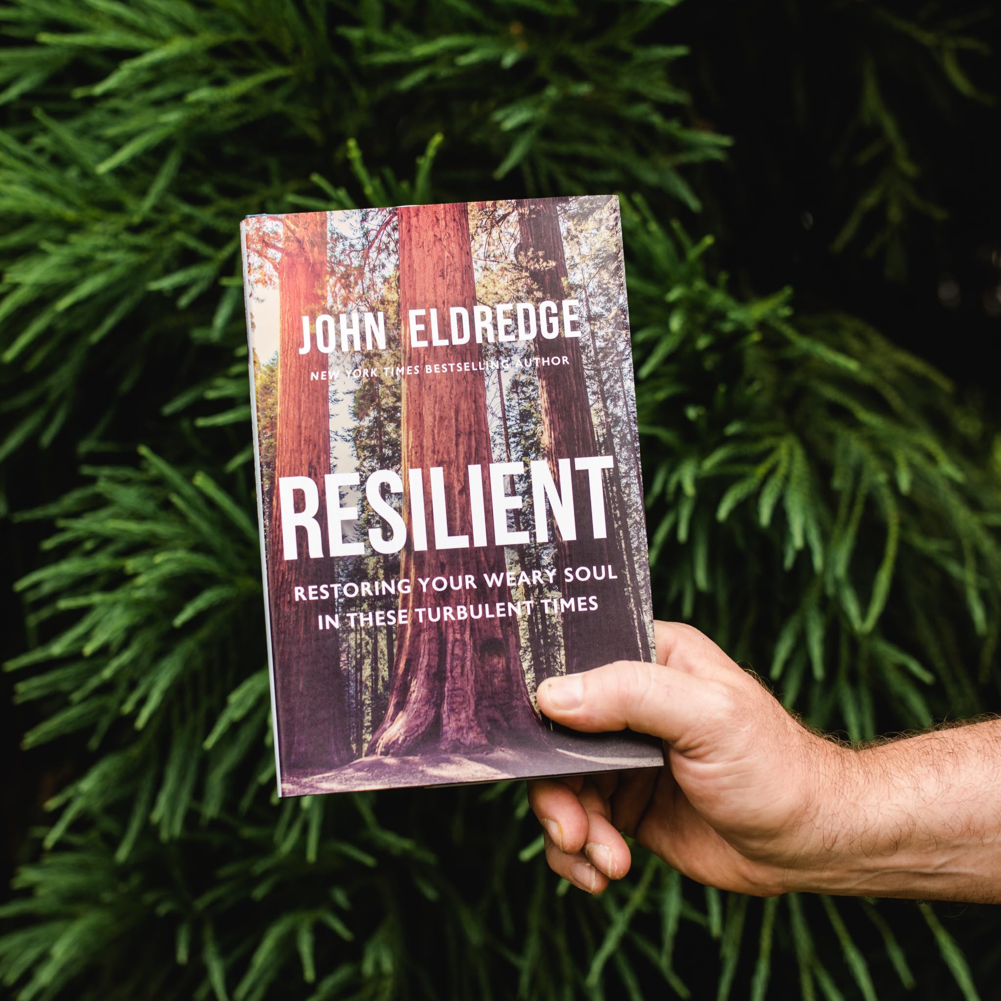 Resilient: Restoring Your Weary Soul in These Turbulent Times,Used
