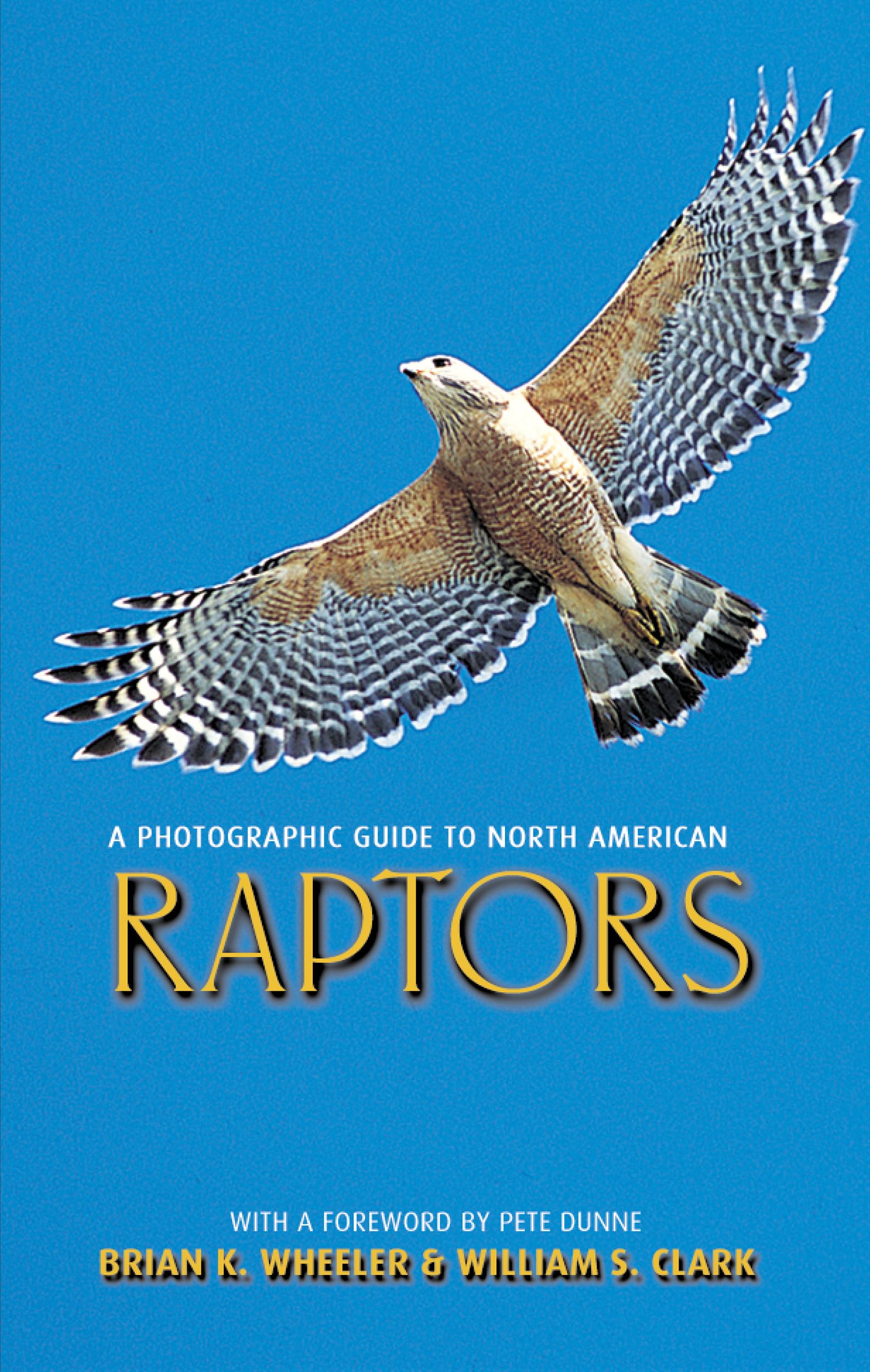 A Photographic Guide To North American Raptors,New