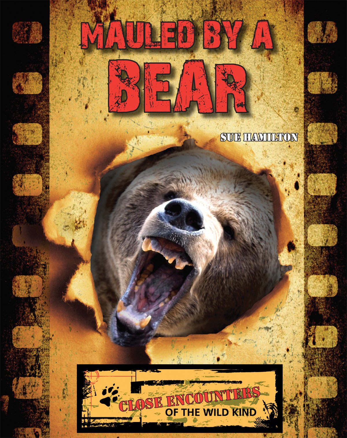 Mauled by a Bear (Close Encounters of the Wild Kind),Used