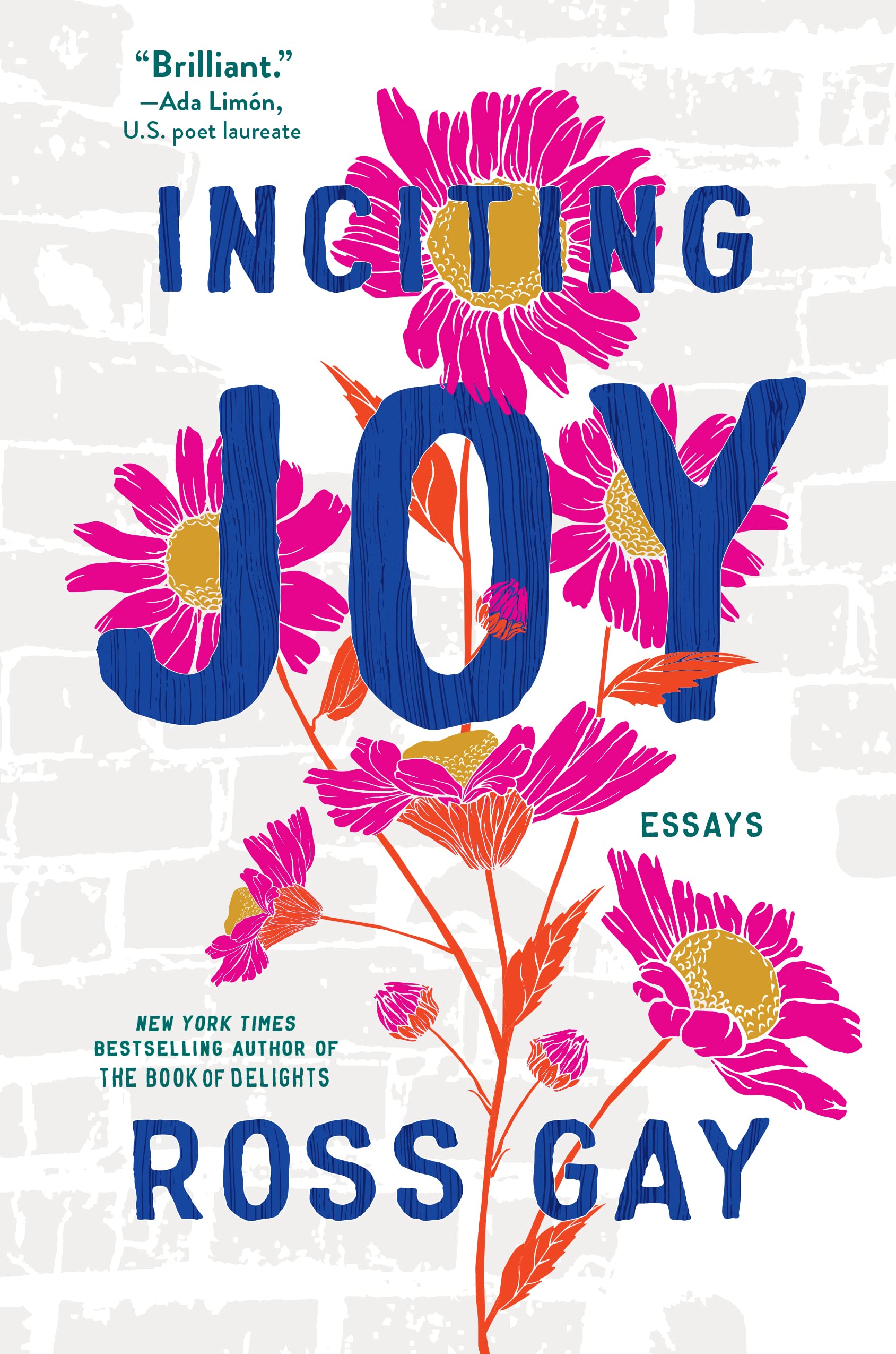 Inciting Joy: Essays,New