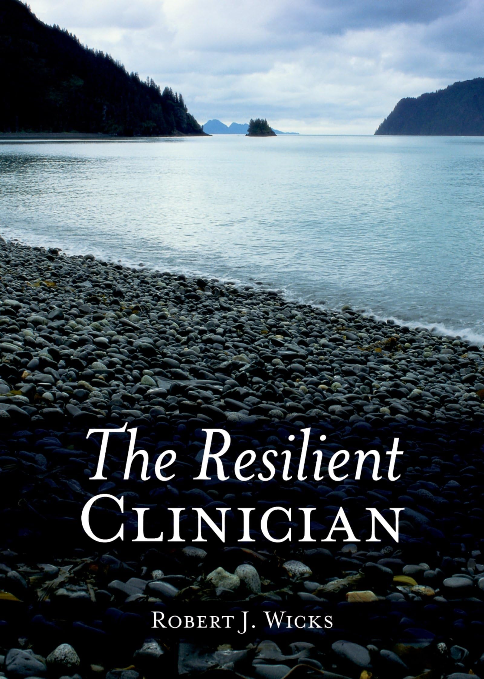 The Resilient Clinician,Used