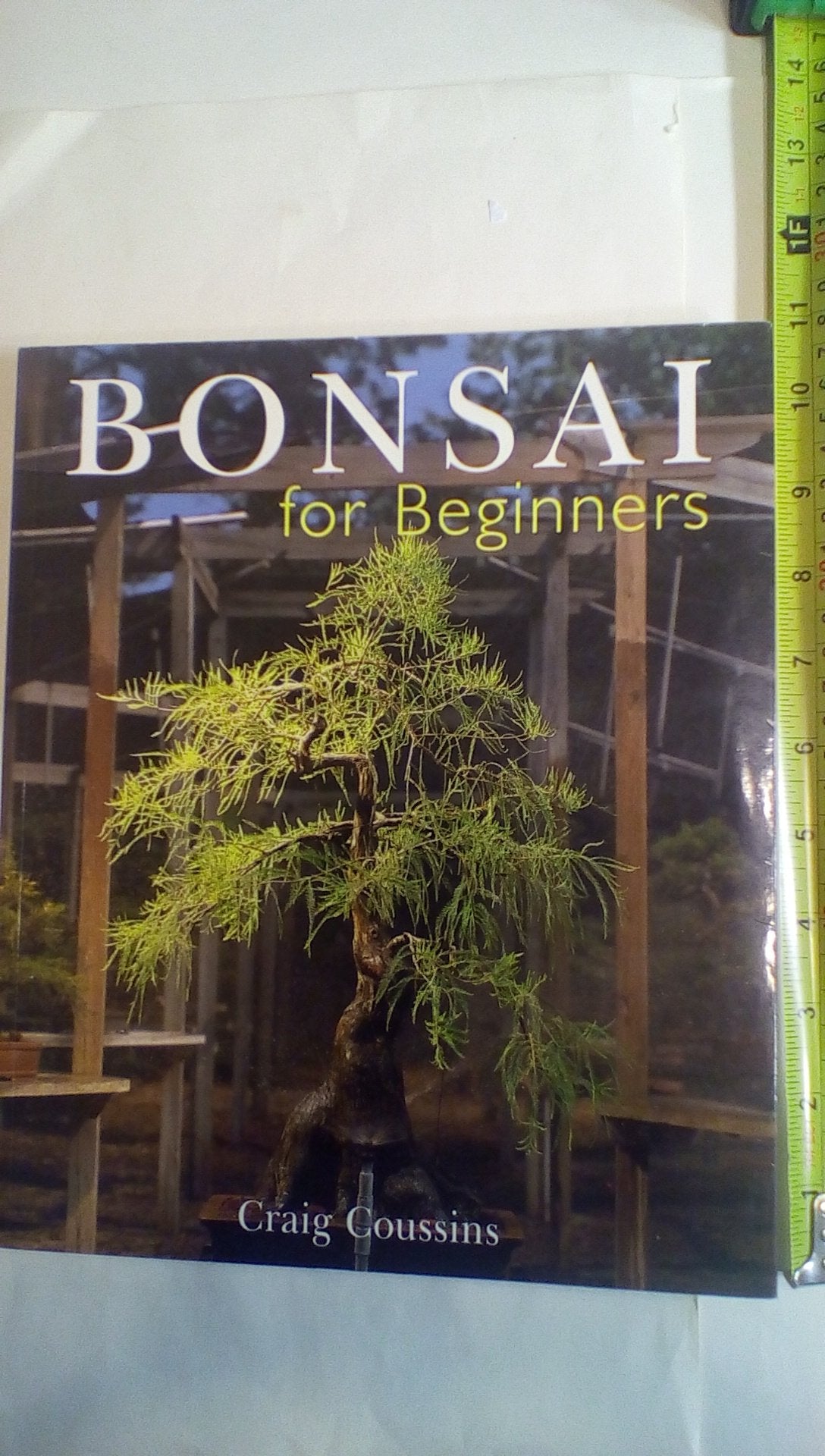 Bonsai For Beginners,Used