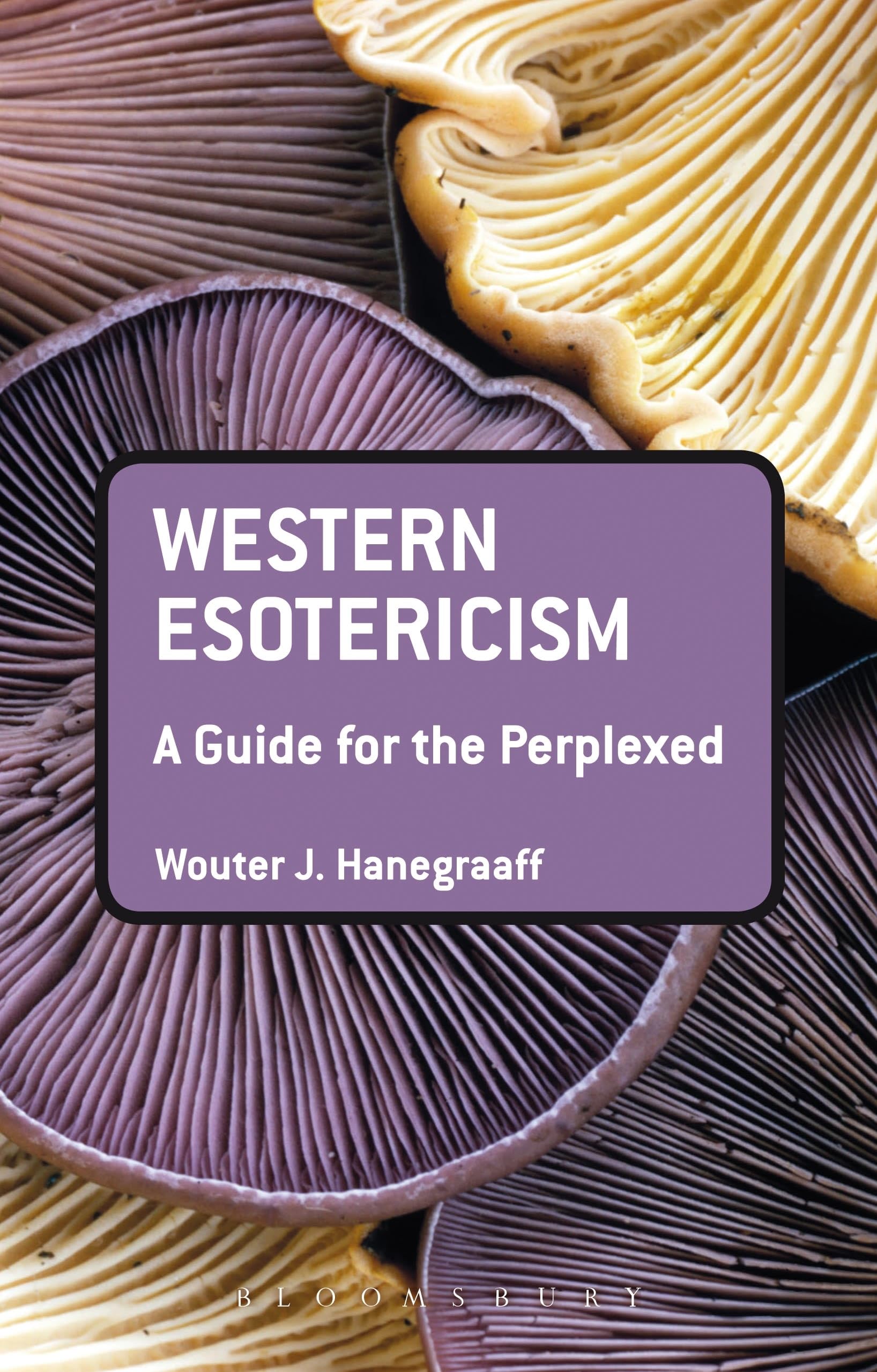 Western Esotericism: A Guide For The Perplexed (Guides For The Perplexed)