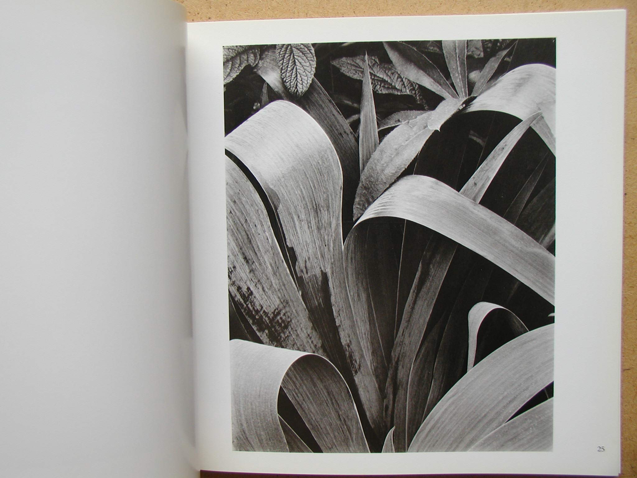 Paul Strand (Aperture Masters Of Photography Series, Number One)-used