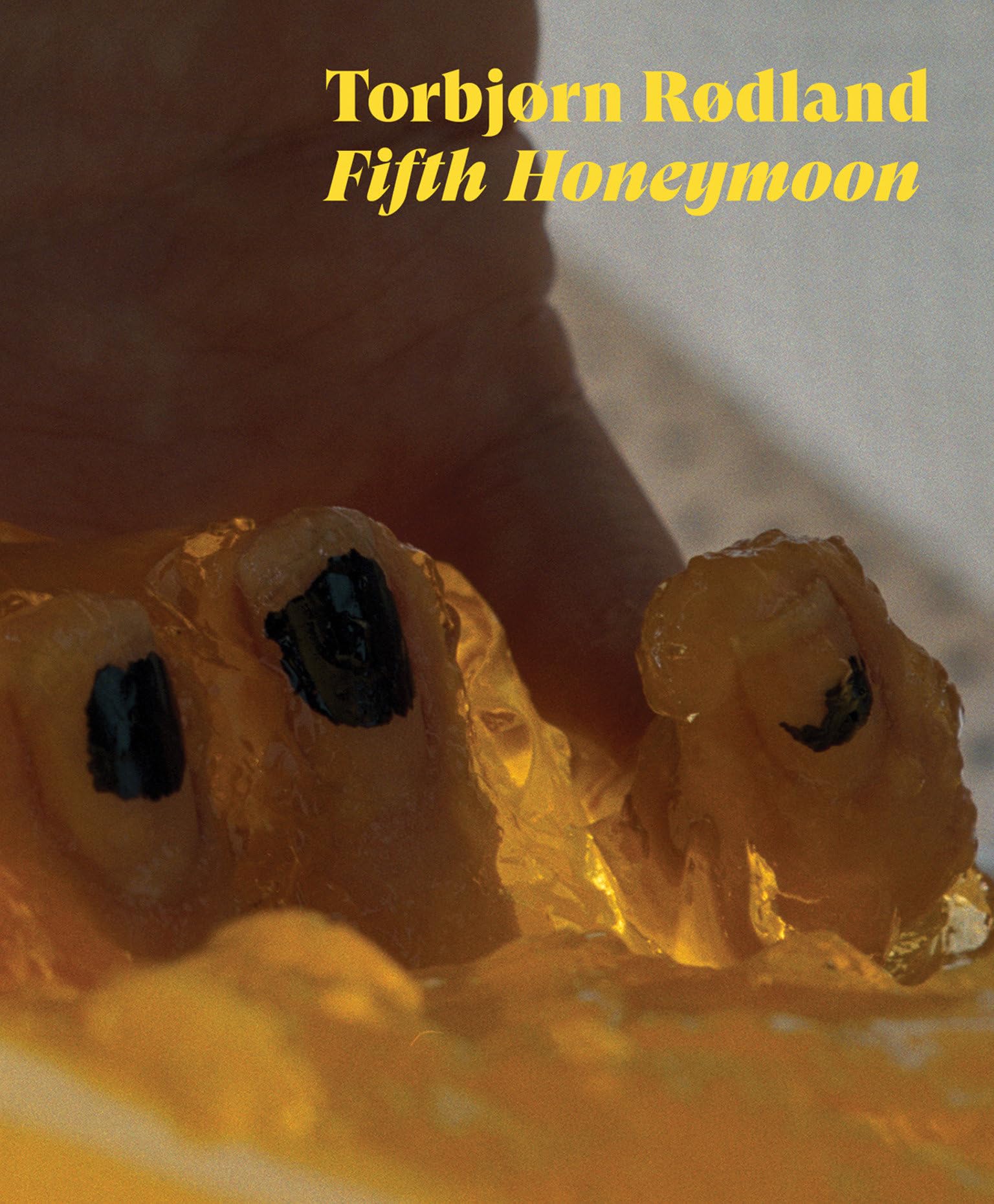 Fifth Honeymoon (Sternberg Press),Used