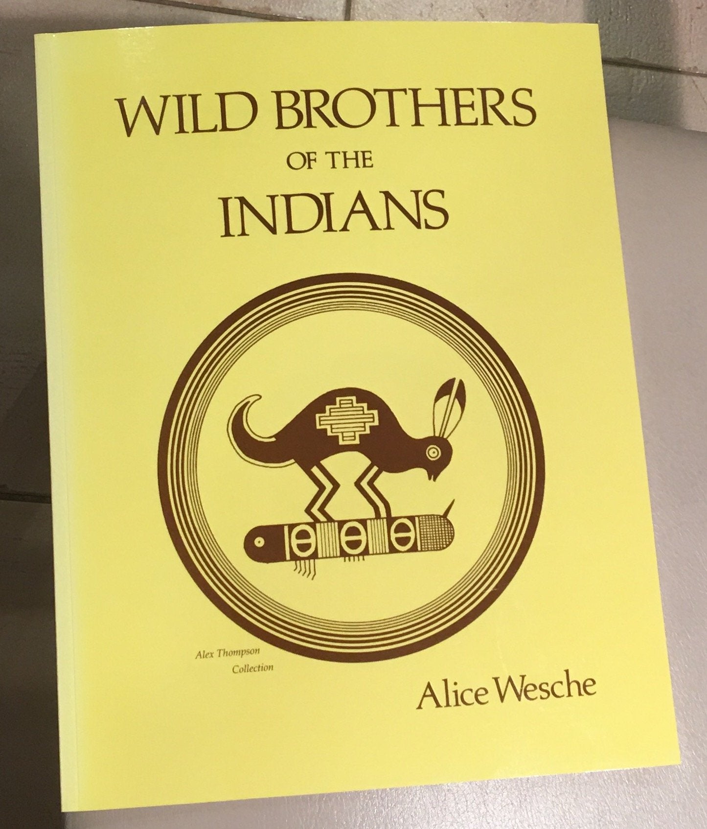 Wild Brothers Of The Indians: As Pictured By The Ancient Americans,Used