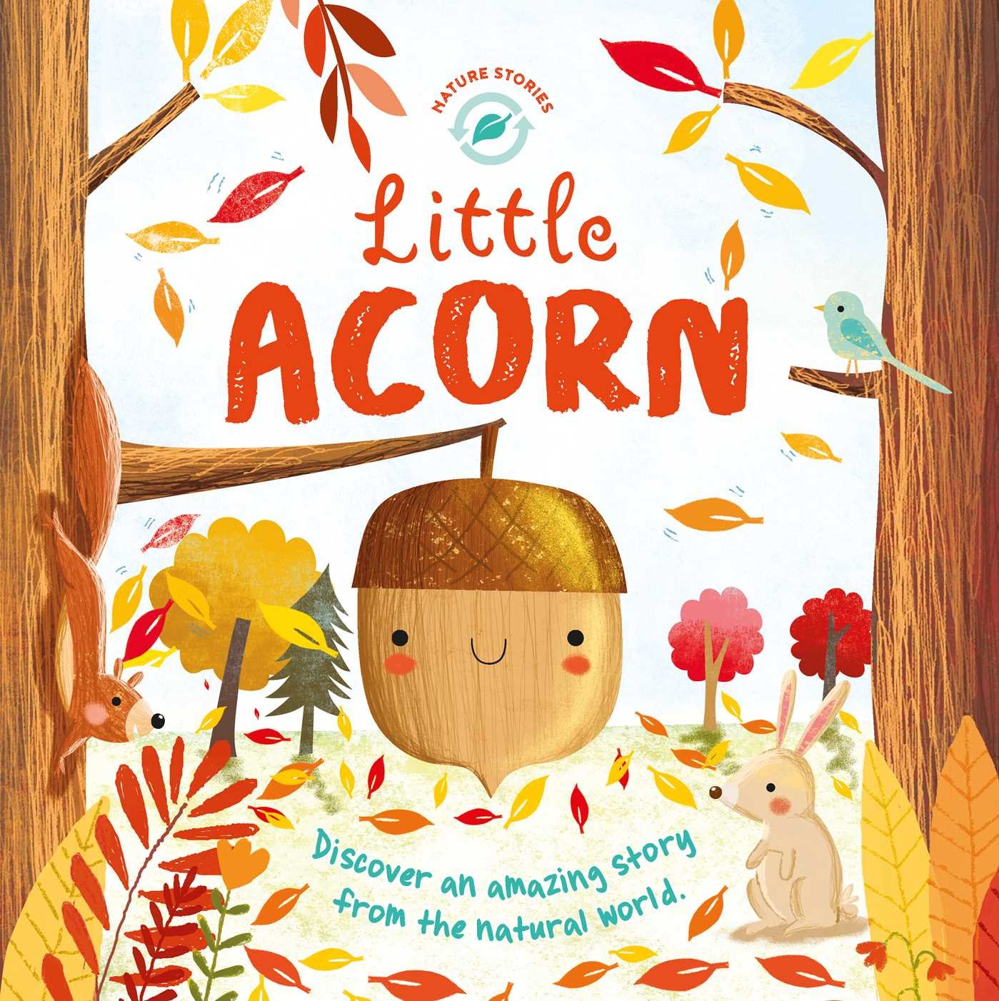 Little Acorn,Used