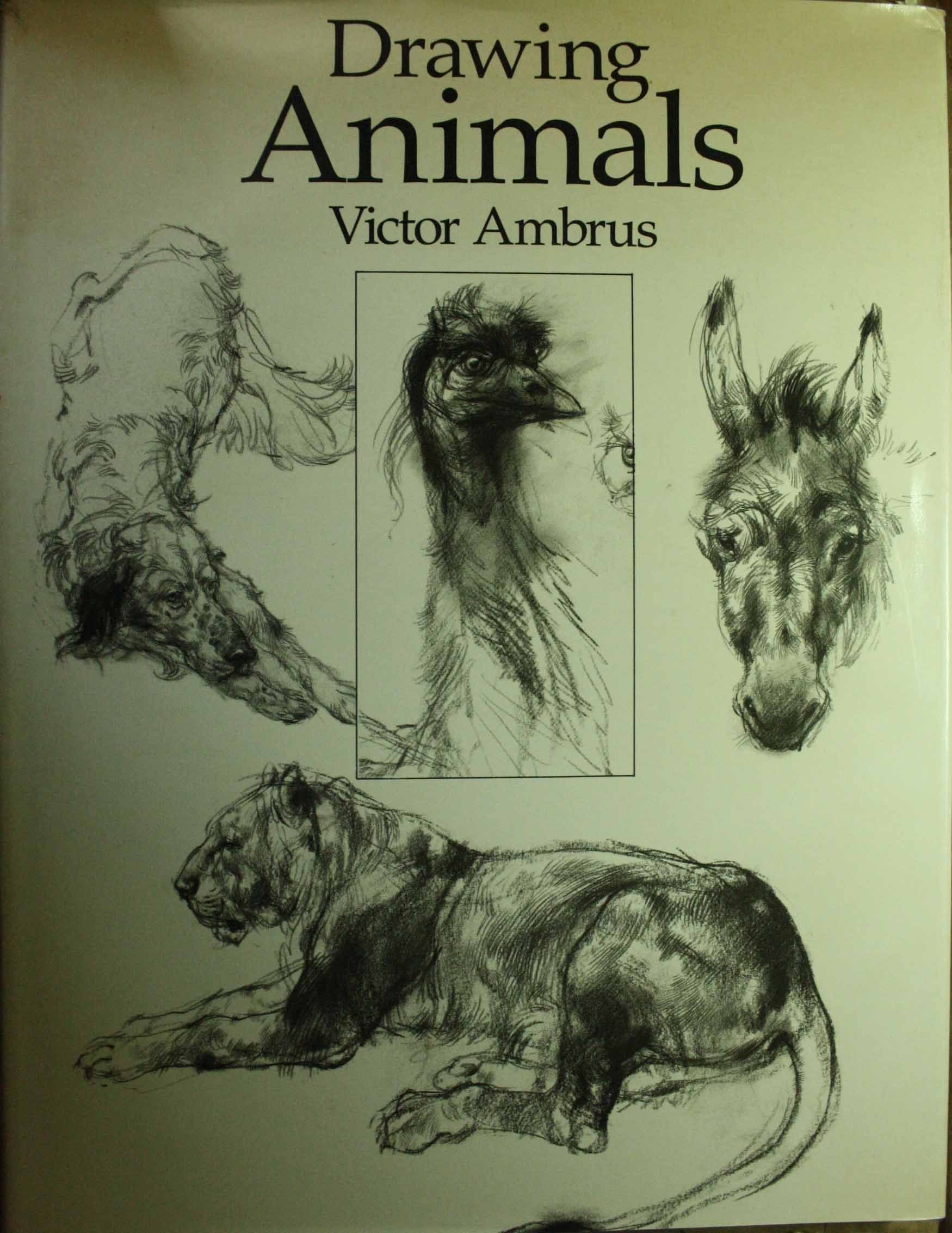 Drawing Animals,Used