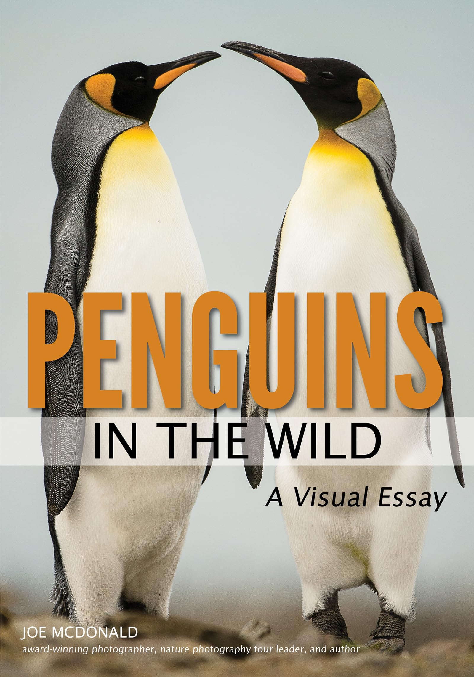 Penguins in the Wild,Used