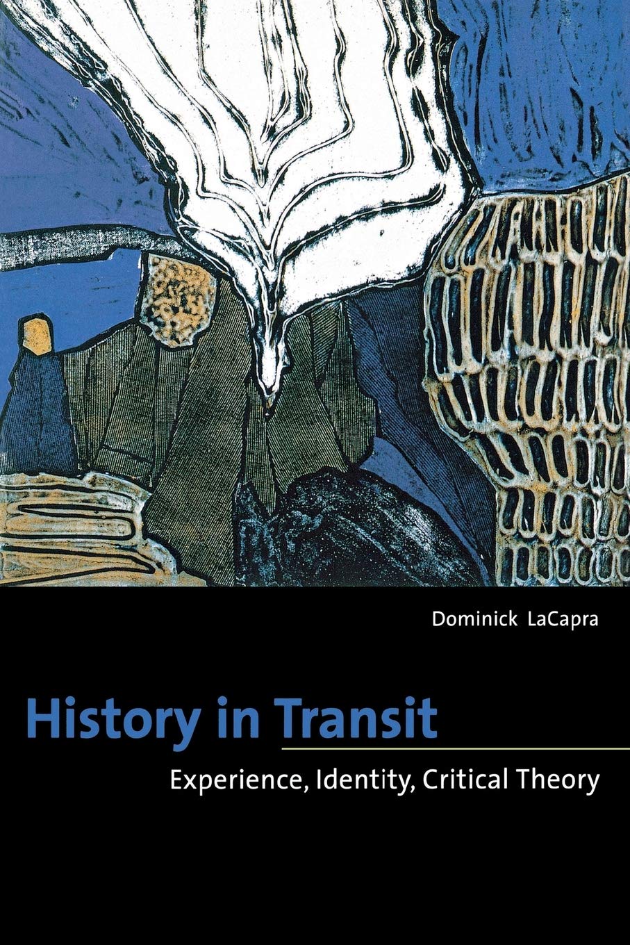 History in Transit: Experience, Identity, Critical Theory,Used