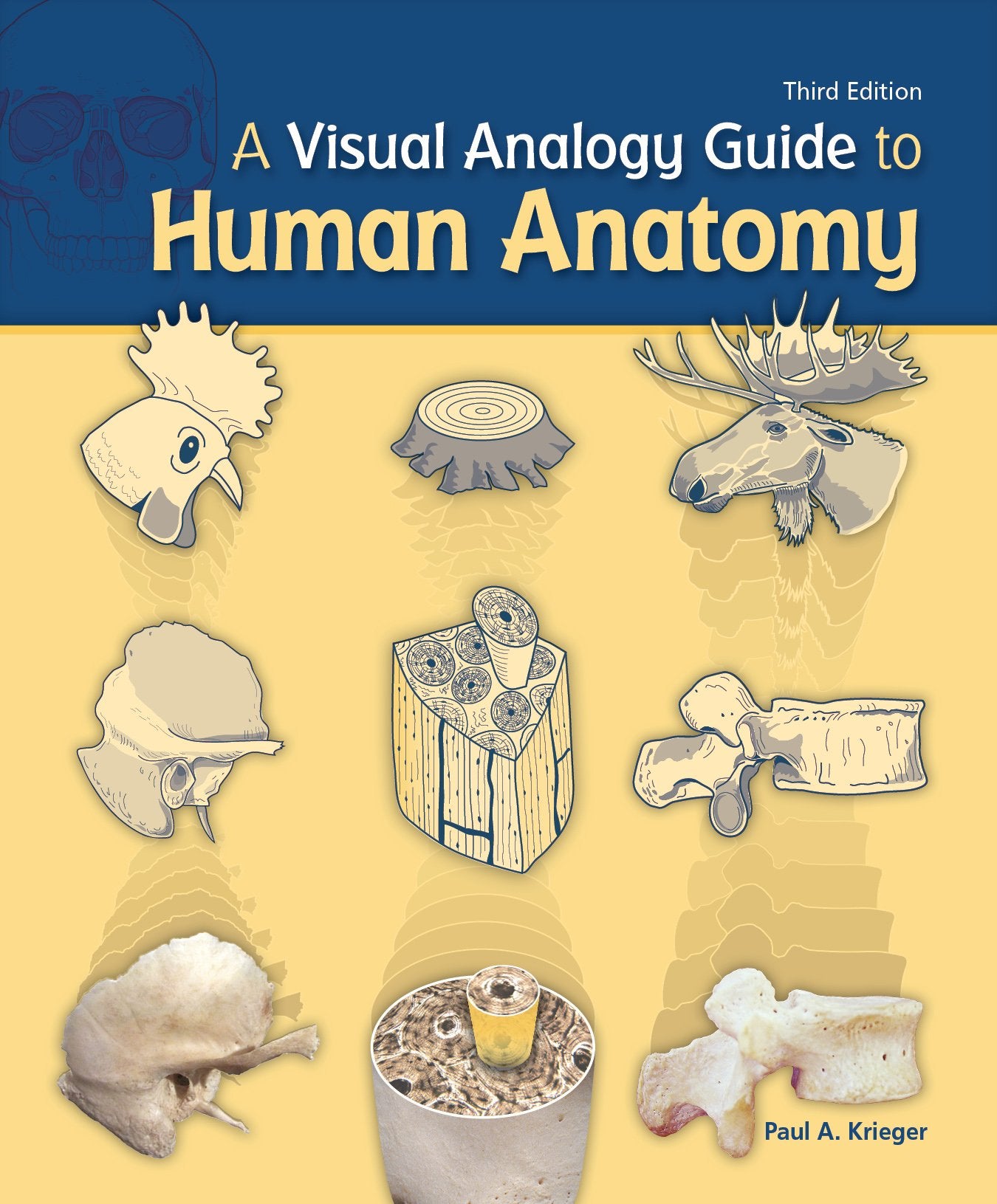 A Visual Analogy Guide to Human Anatomy,Used