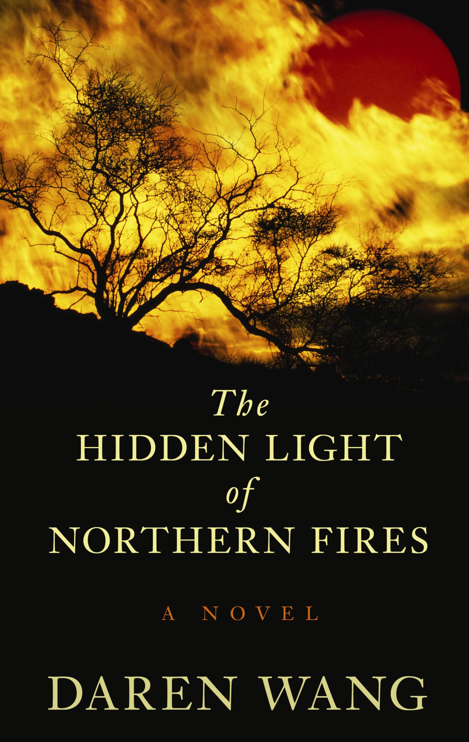 The Hidden Light Of Northern Fires (Thorndike Press Large Print Historical Fiction)
