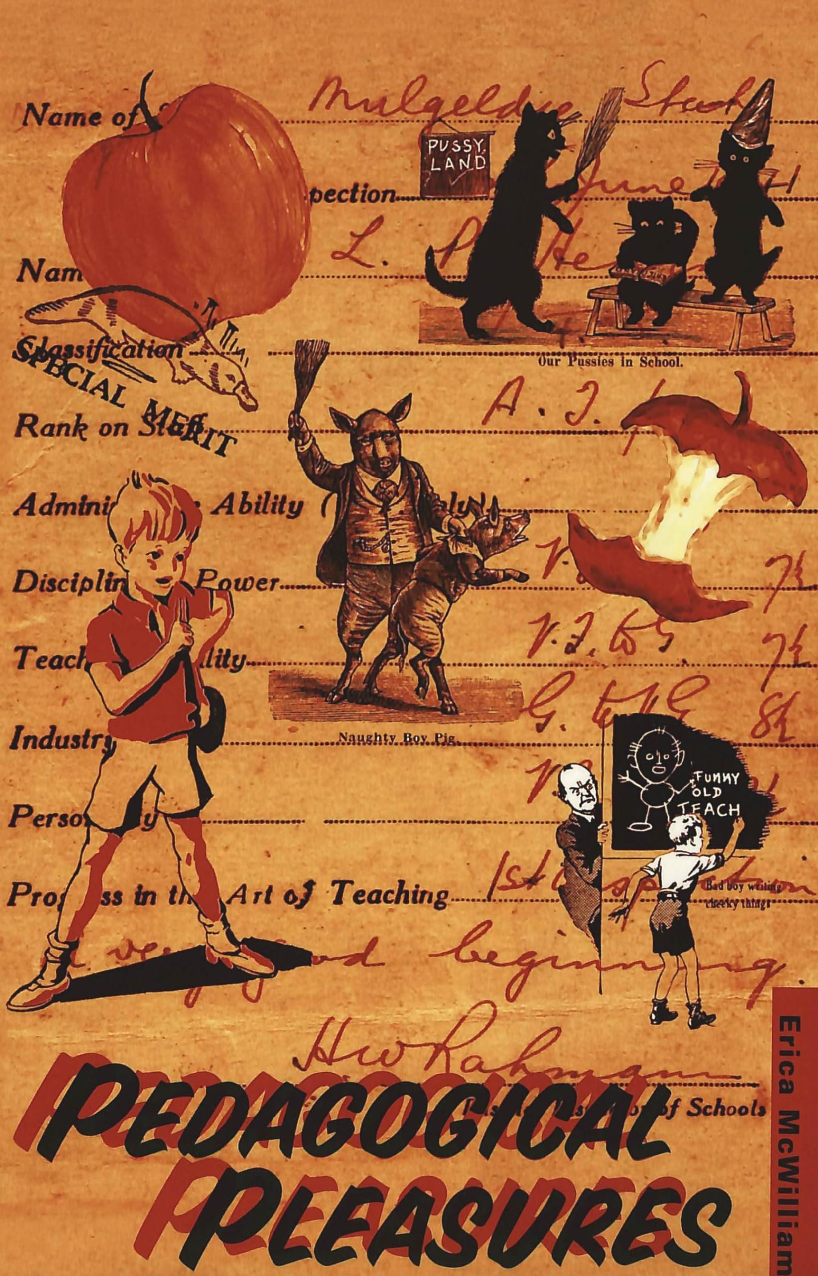 Pedagogical Pleasures,Used