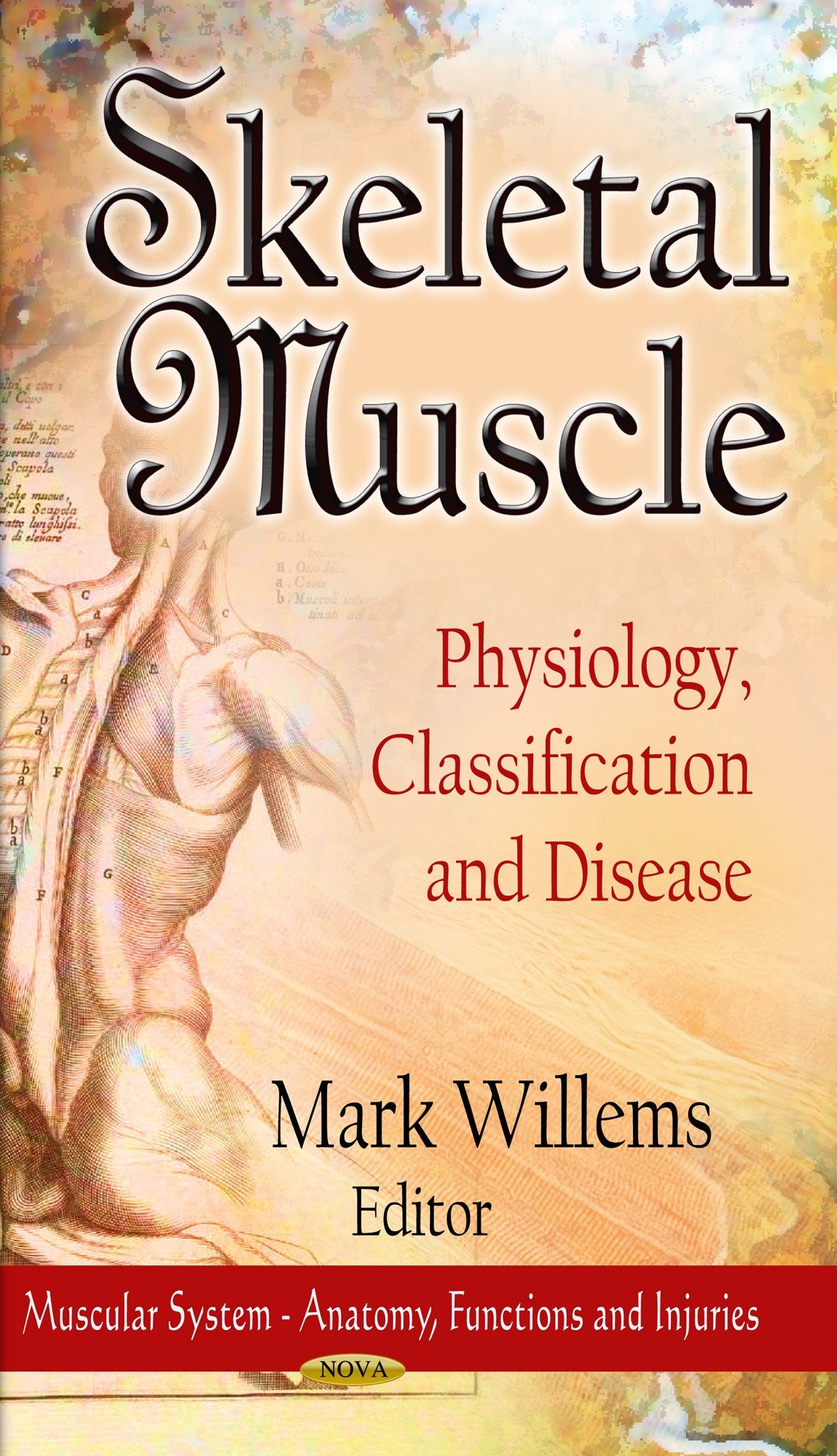 Skeletal Muscle: Physiology, Classification And Disease (Muscular System Anatomy, Functions And Injuries: Human Anatomy And Ps,Used