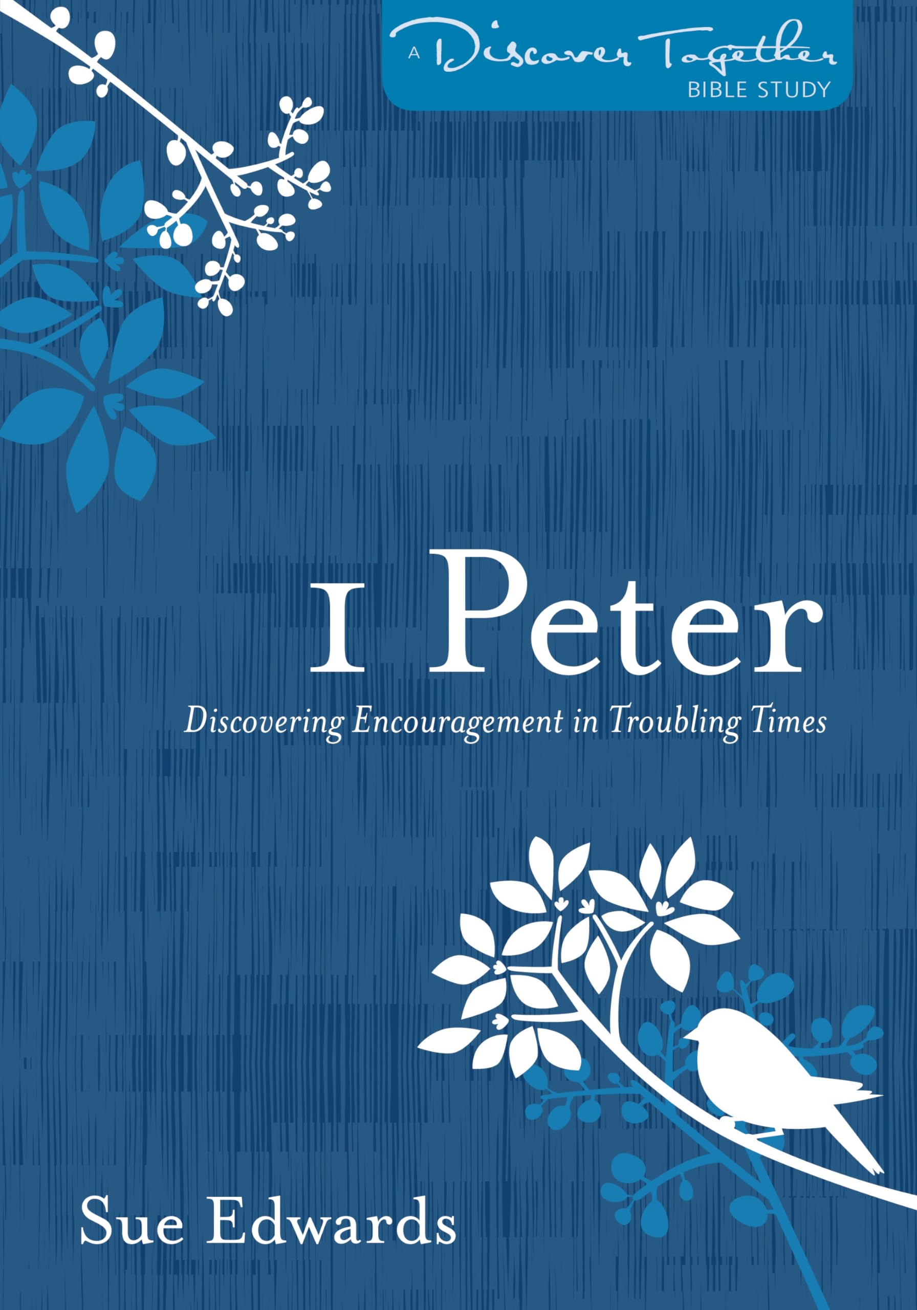 1 Peter: Discovering Encouragement in Troubling Times (Discover Together Bible Study),Used