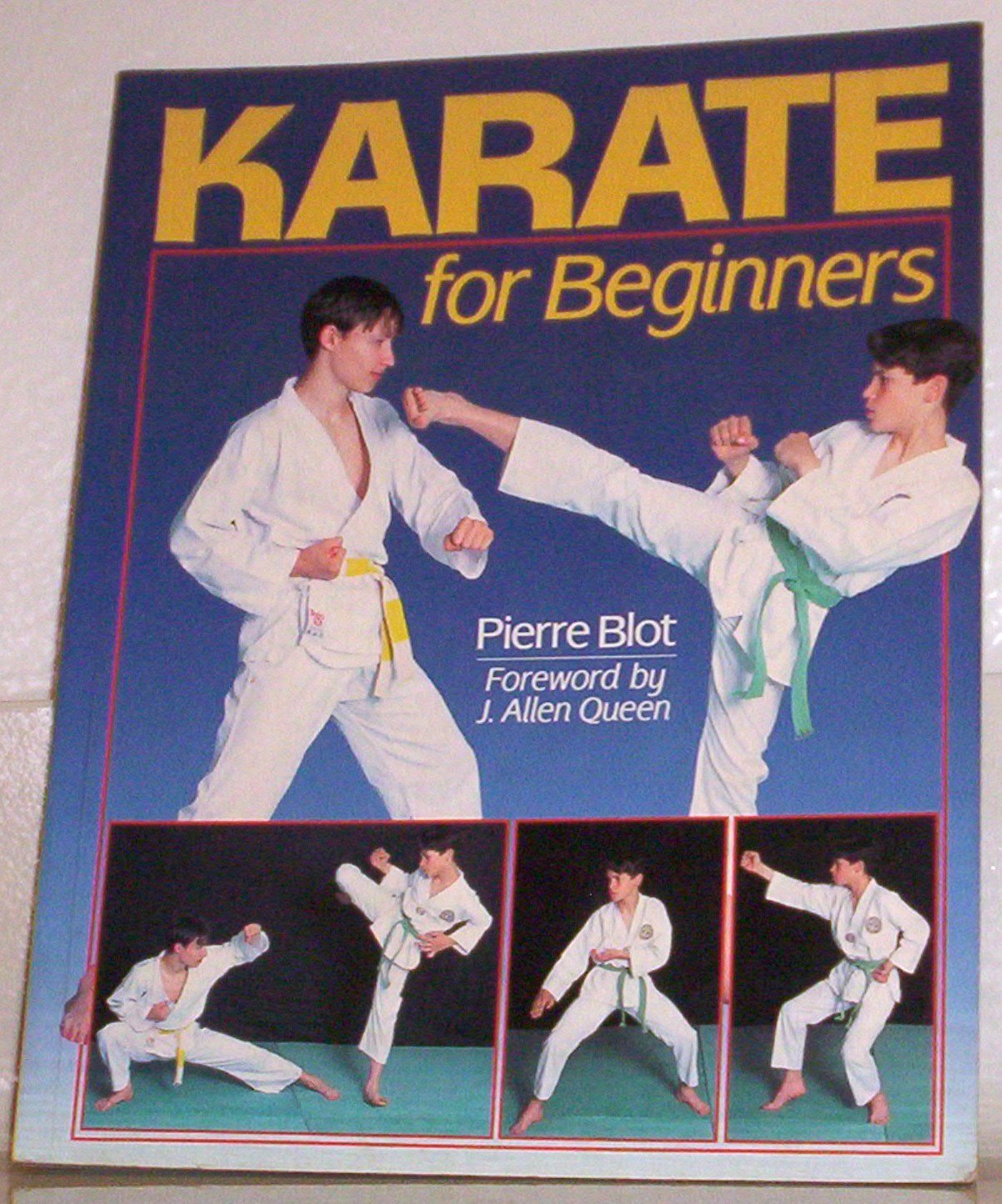 Karate For Beginners,Used