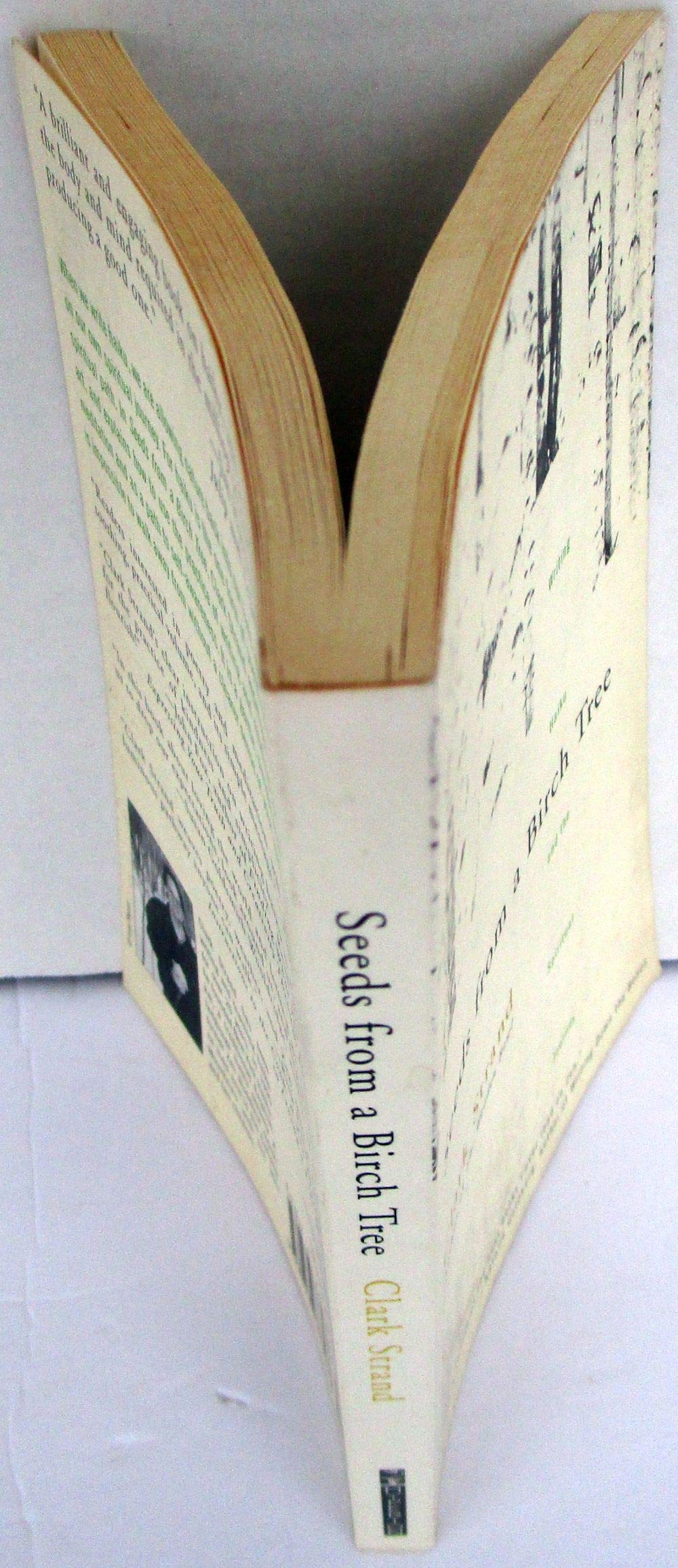 Seeds From a Birch Tree: Writing Haiku and the Spiritual Journey,New