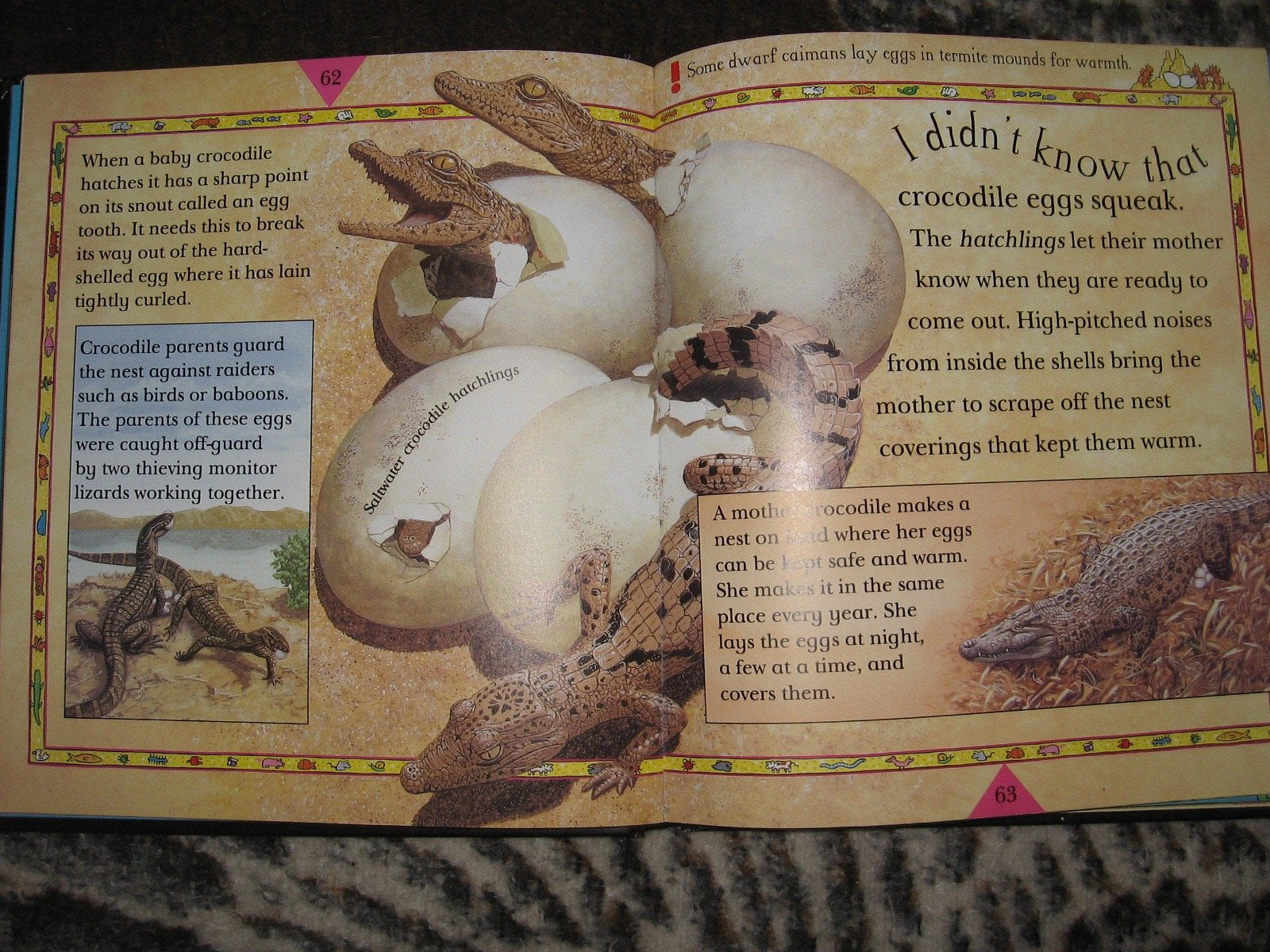 The Encyclopedia of Awesome Animals (Awesome Encyclopedias),Used
