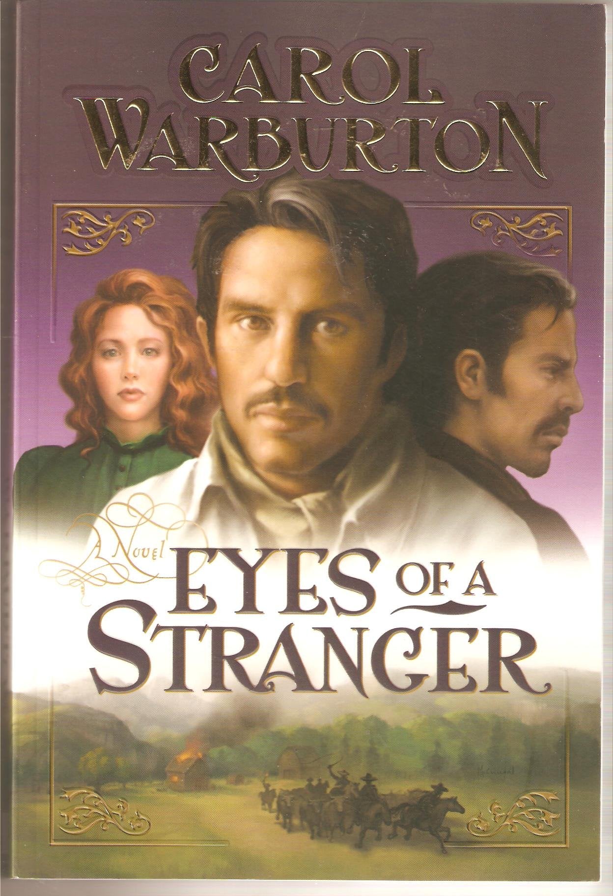Eyes of a Stranger: A Novel,Used