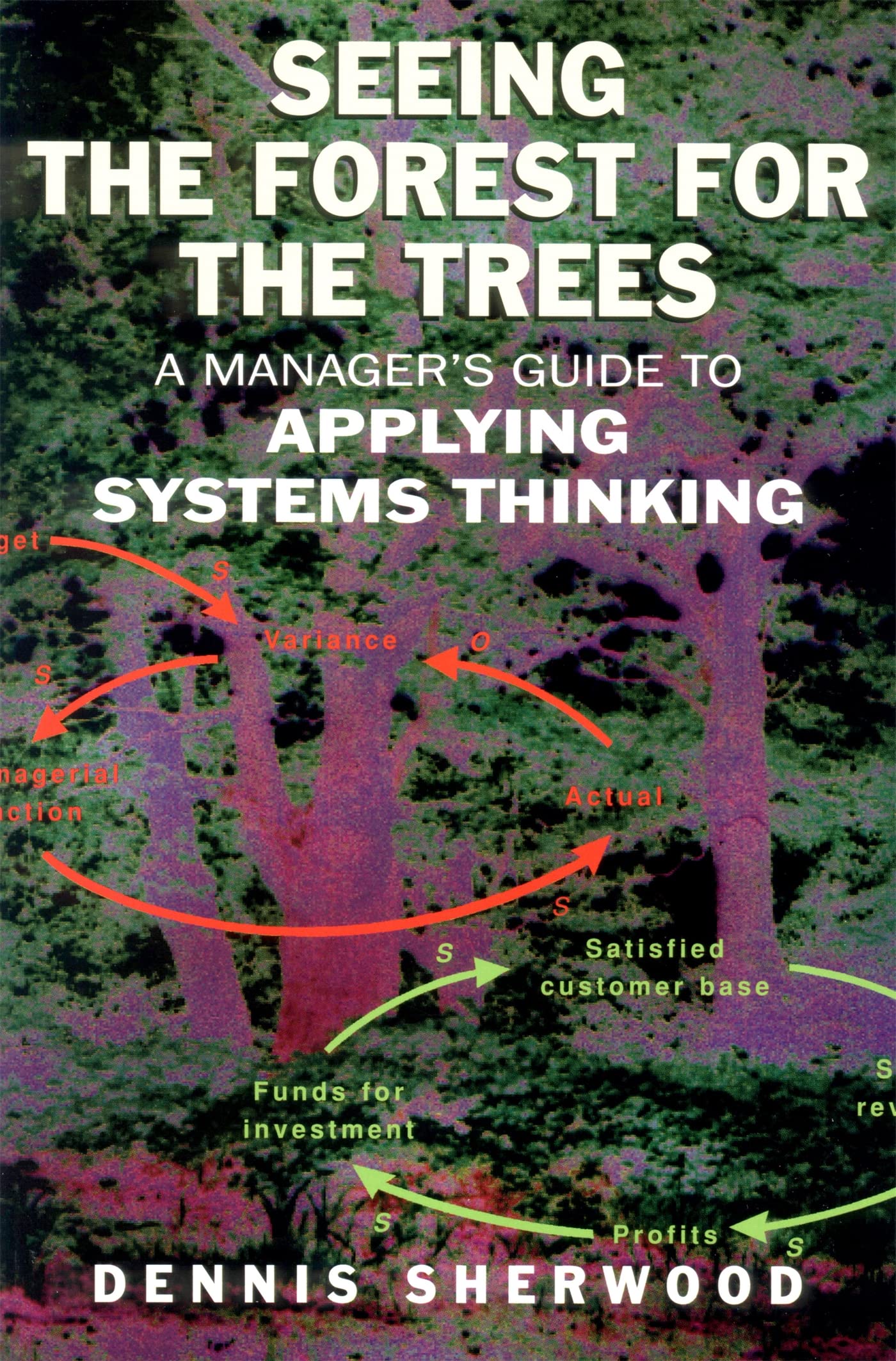 Seeing the Forest for the Trees: A Manager's Guide to Applying Systems Thinking,Used