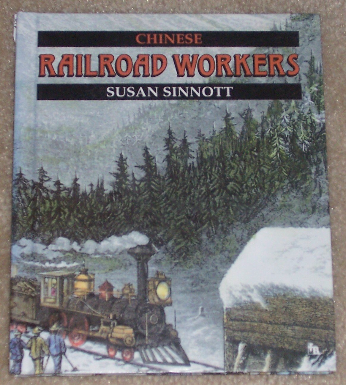 Chinese Railroad Workers (First Book),Used