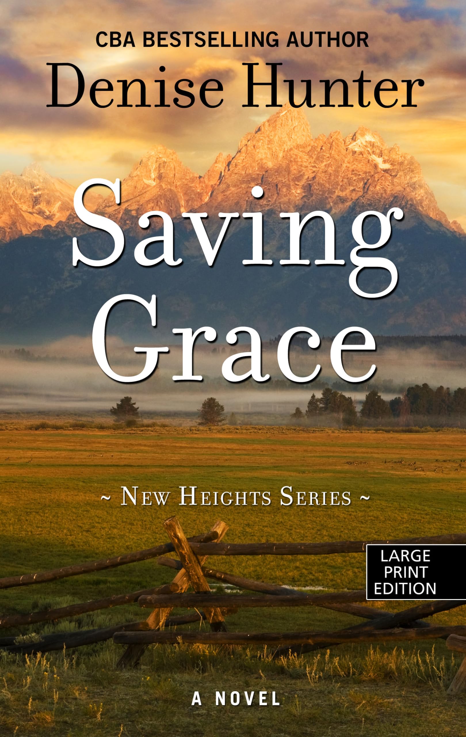 Saving Grace (The New Heights Series),Used