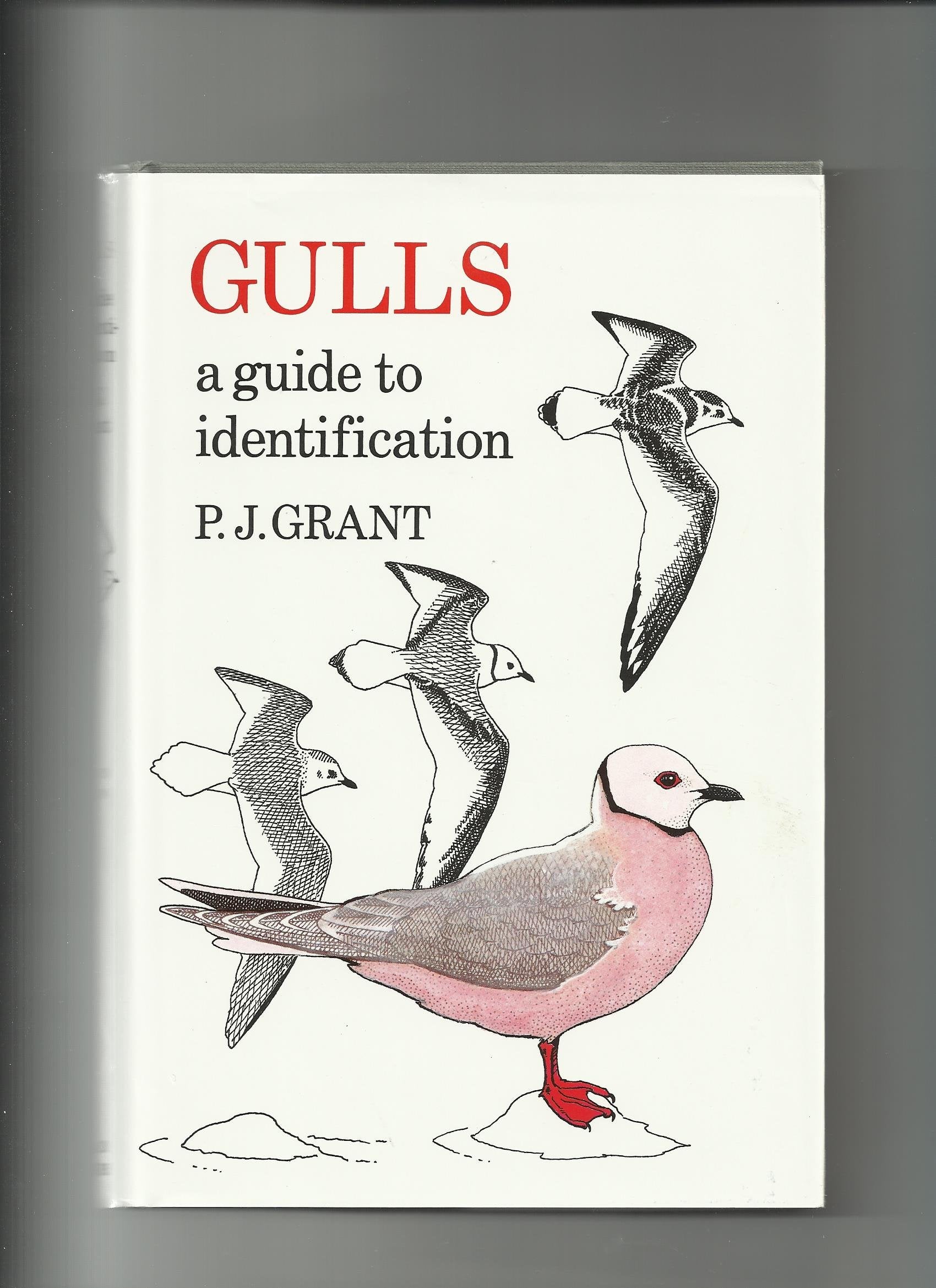 Gulls: A Guide to Identification,Used