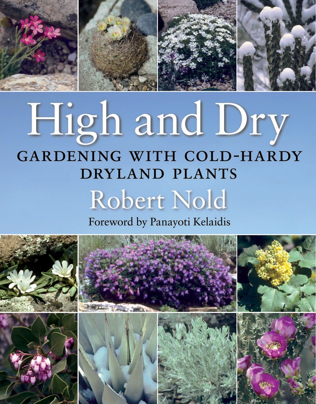 High and Dry: Gardening with ColdHardy Dryland Plants,Used